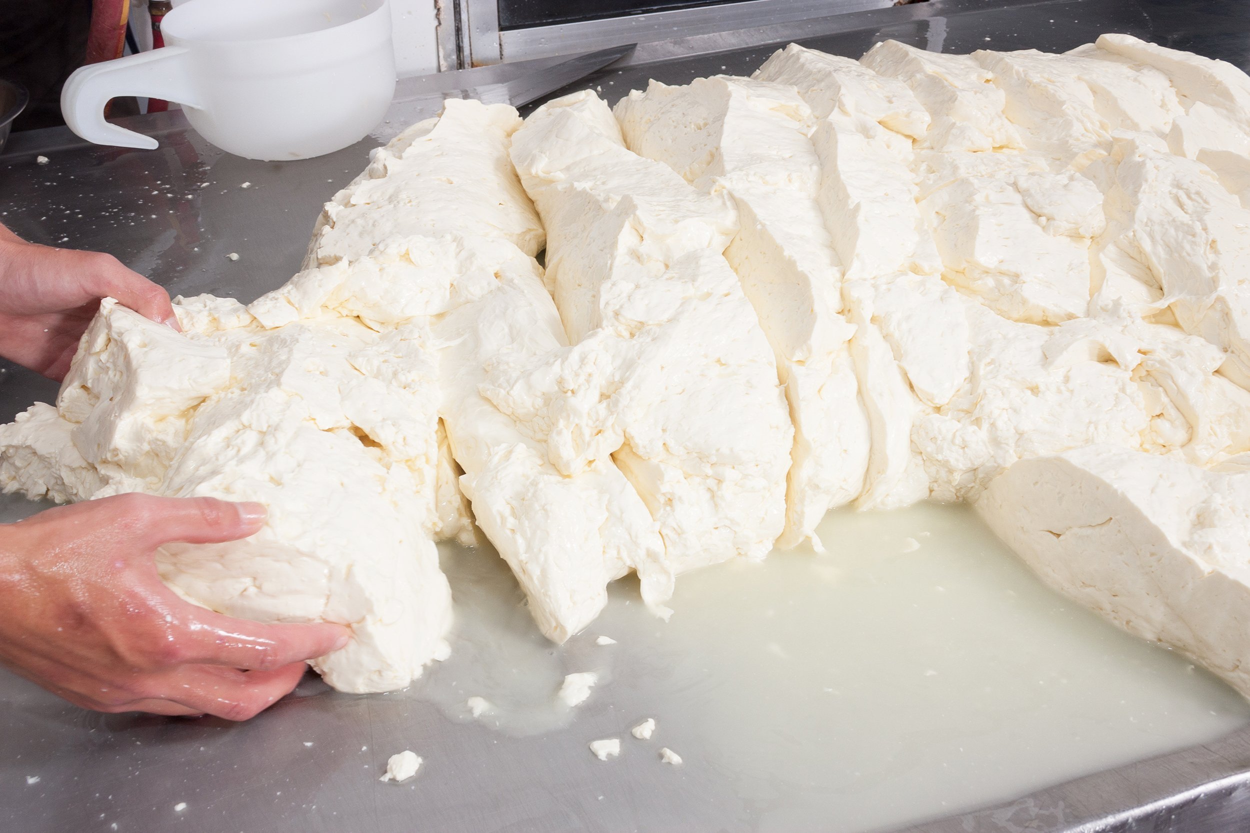 freshly fermented cheese being moved on during production process