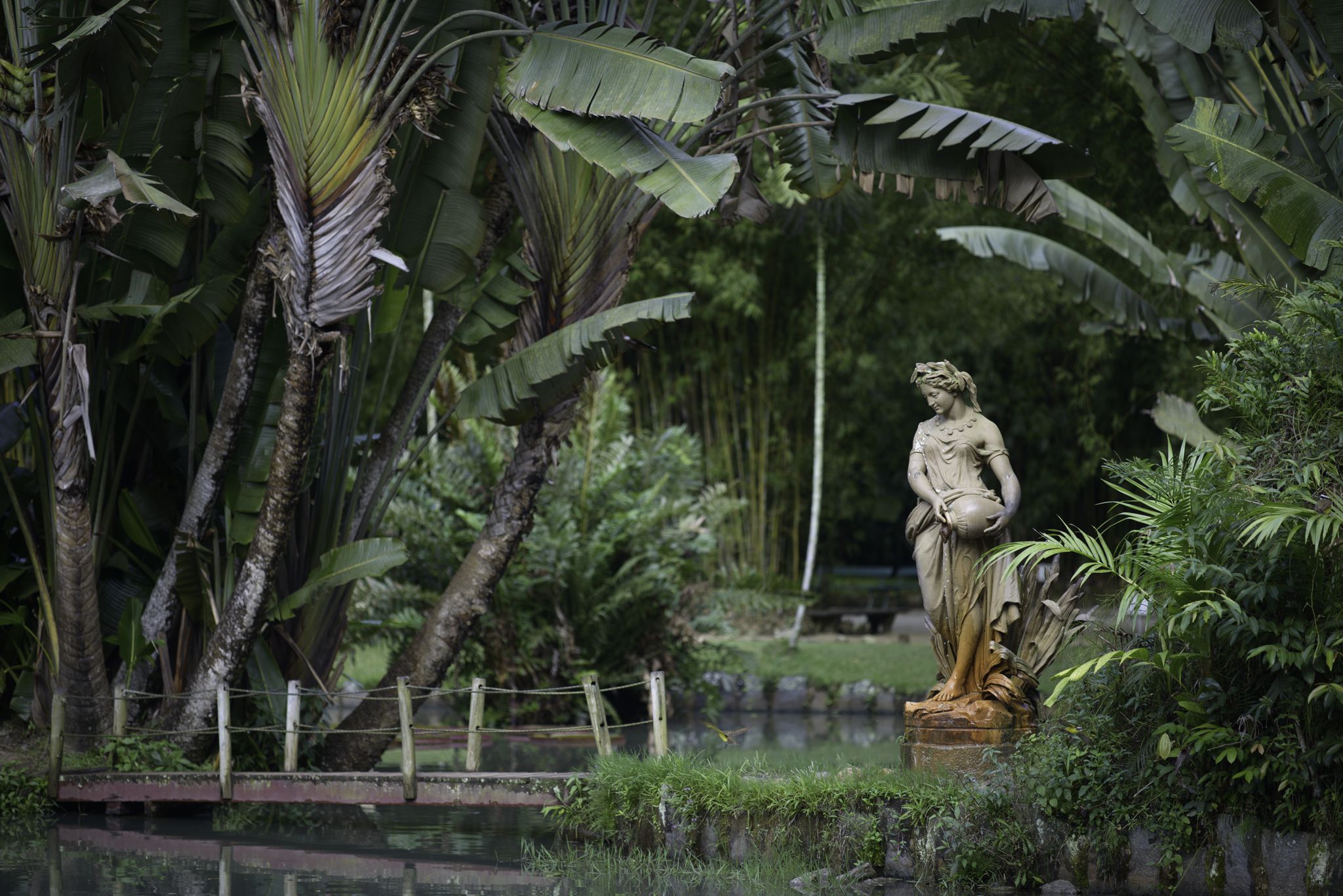 Jardim Botânico do Rio de Janeiro