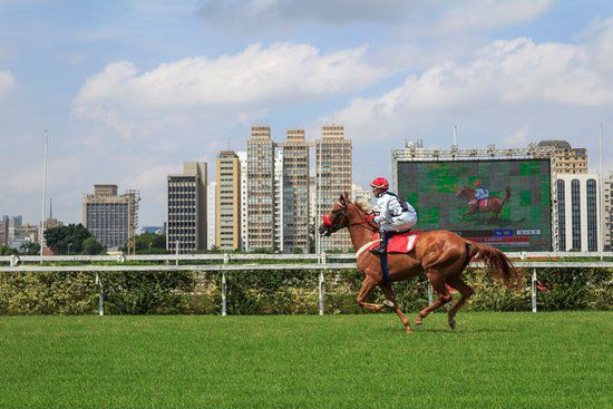 The Jockey Club, Brasil
