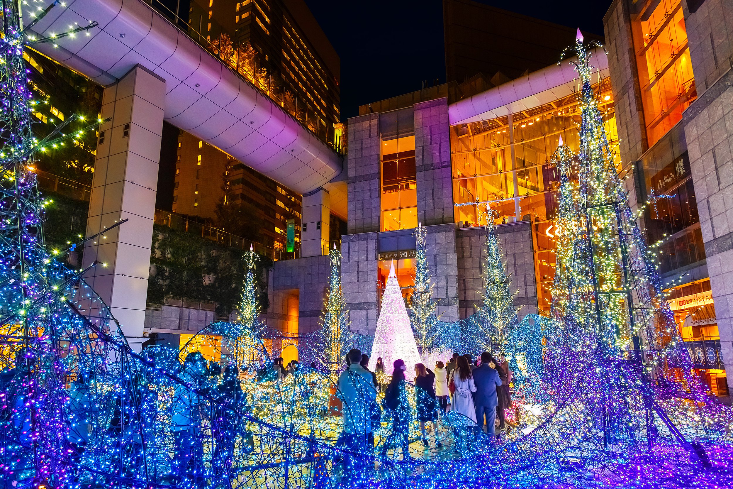 Christmas in Tokyo, Japan