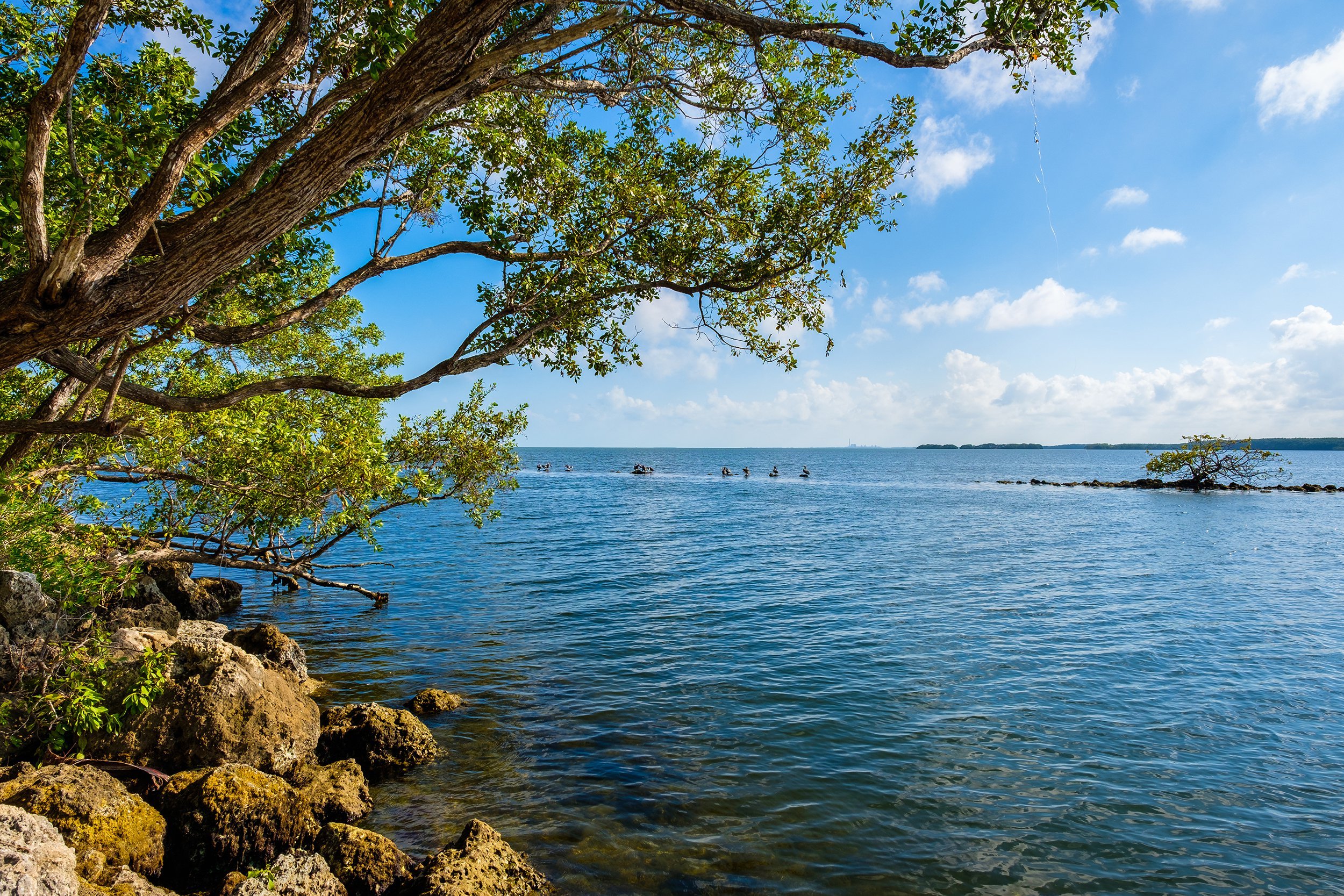 Biscayne, FL