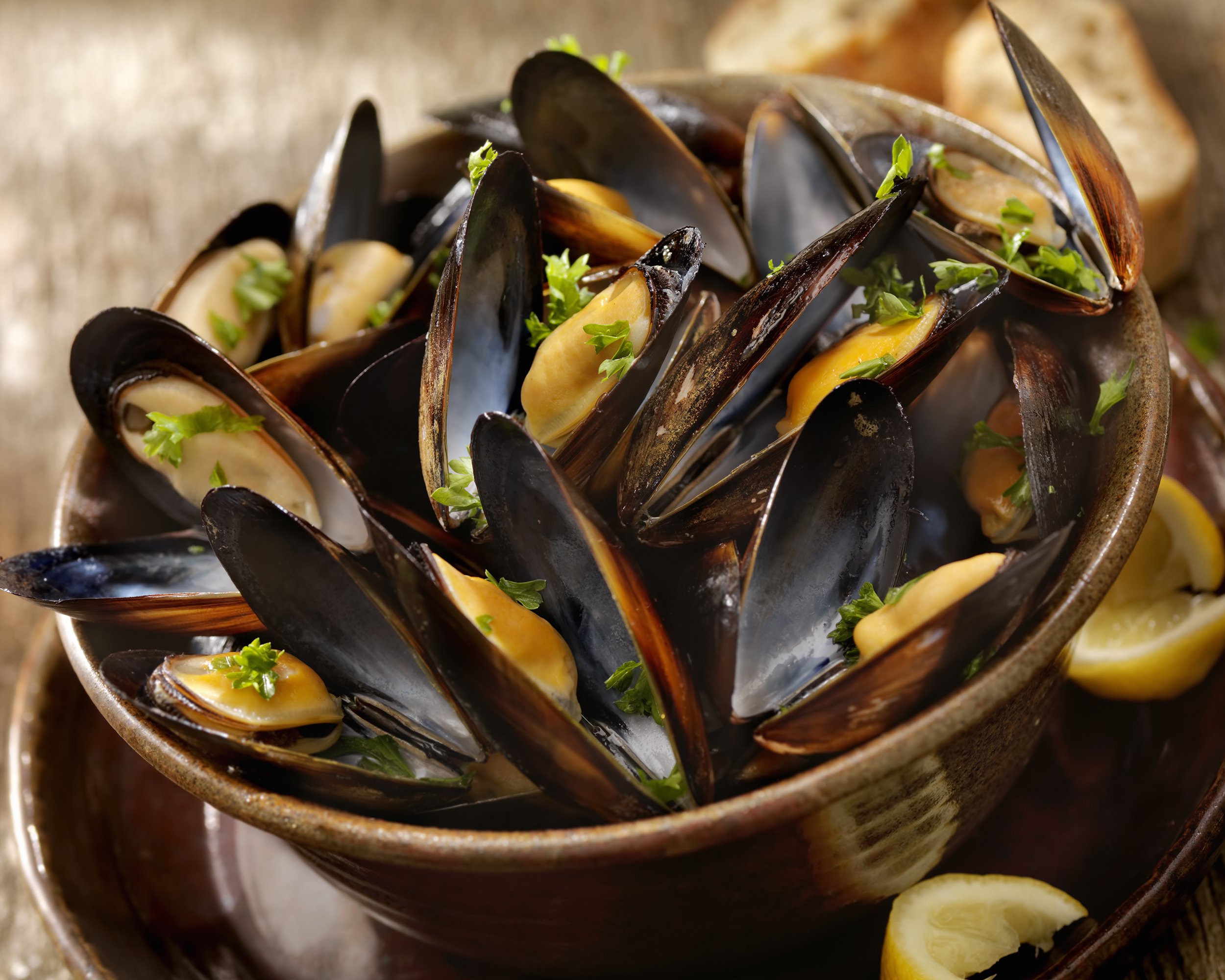 Steamed Mussels