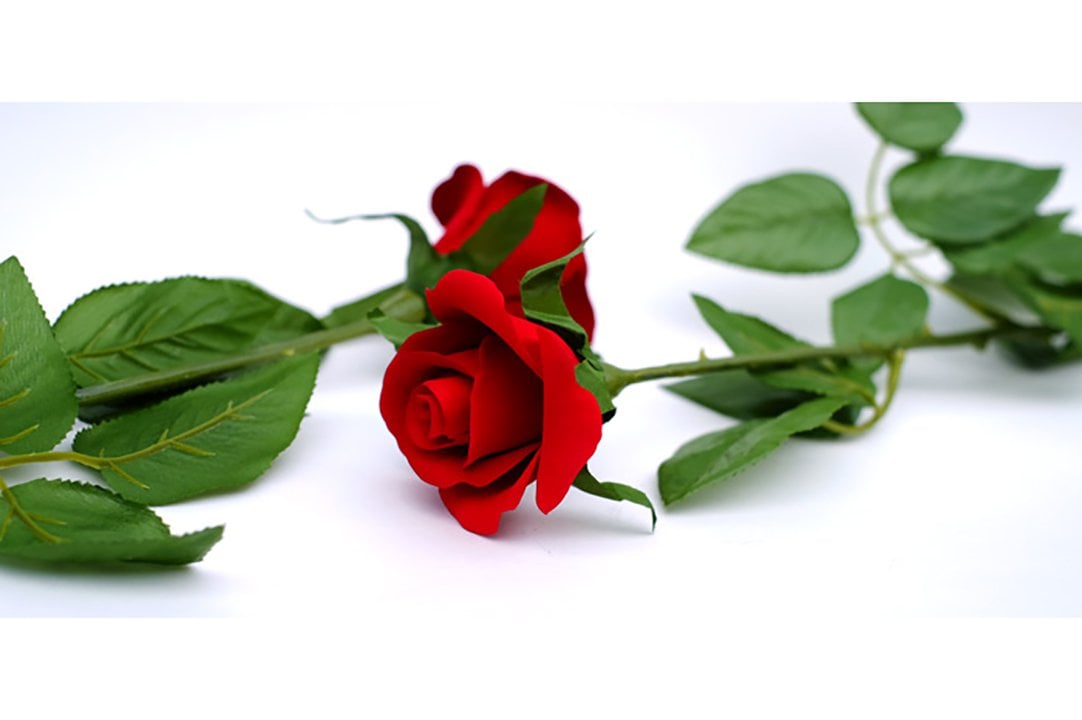 Porcelain rose