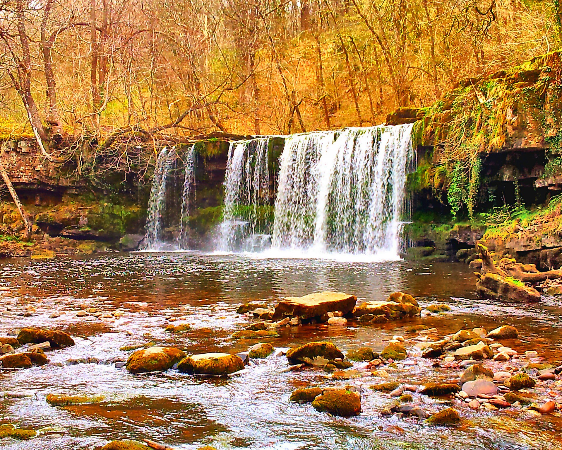 Creekside waterfall in an autumn forest photo