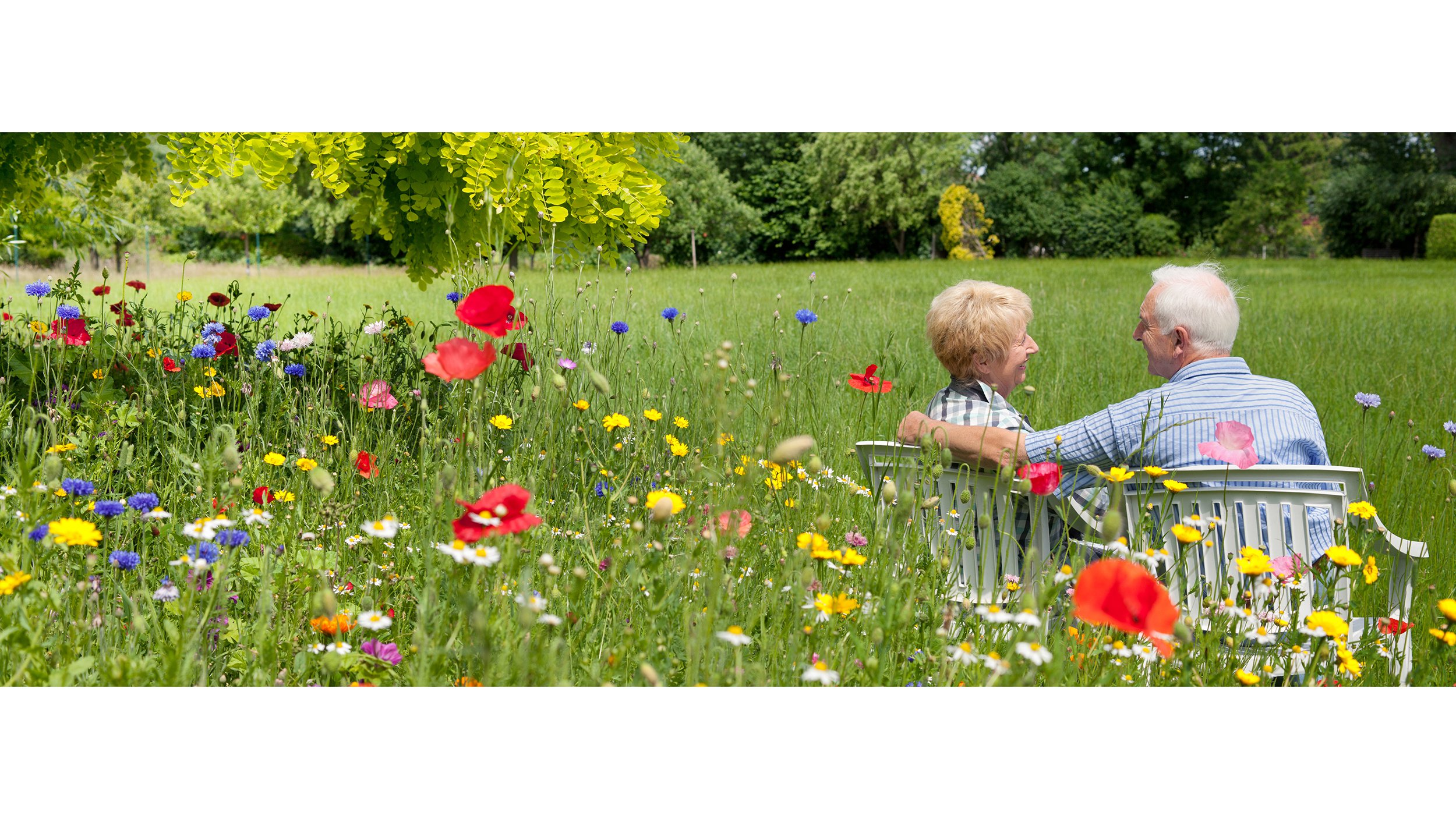 Panoramic photo of senior couple sitting on a bench in a garden