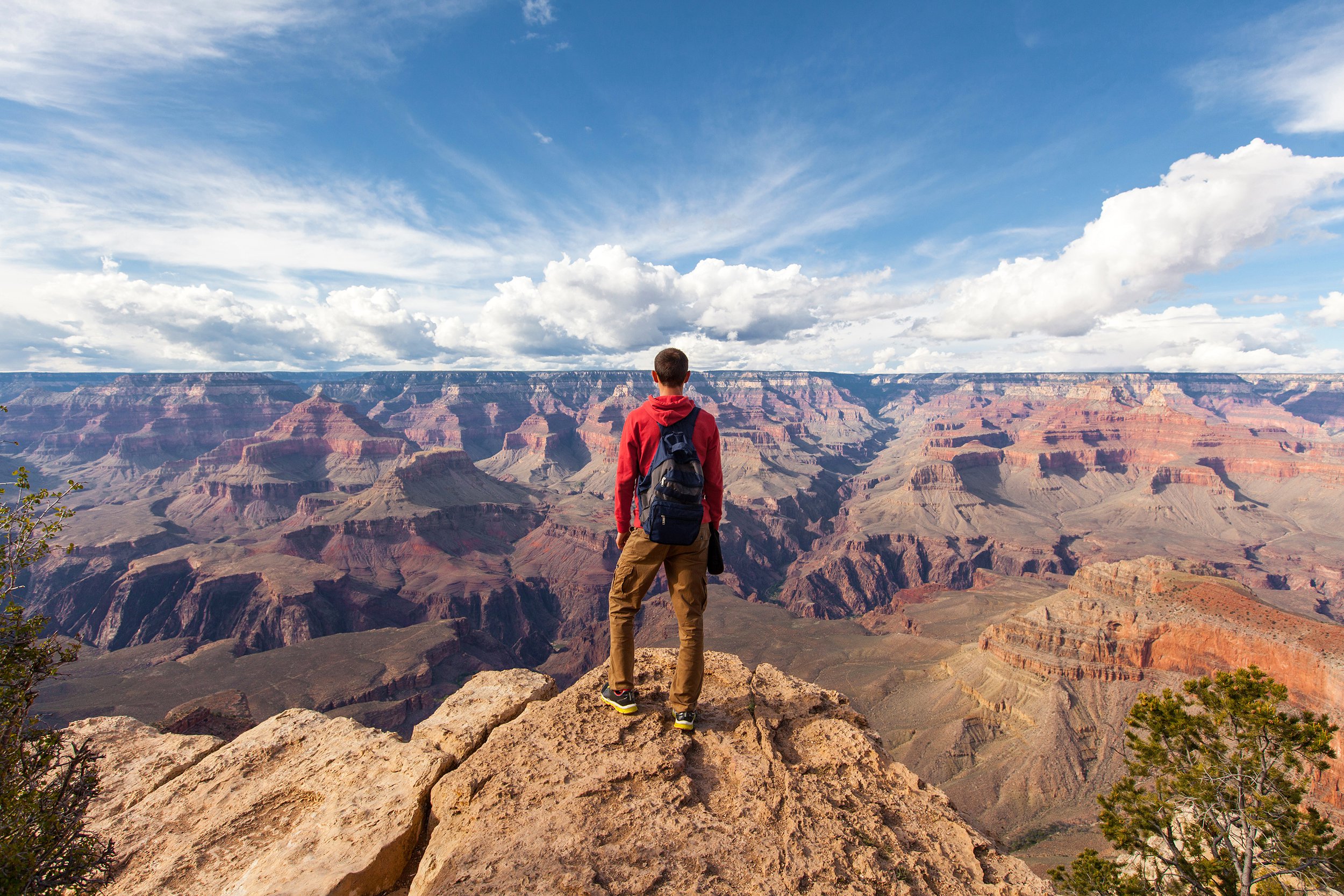 Man standing on the edge of the Grand Canyon
