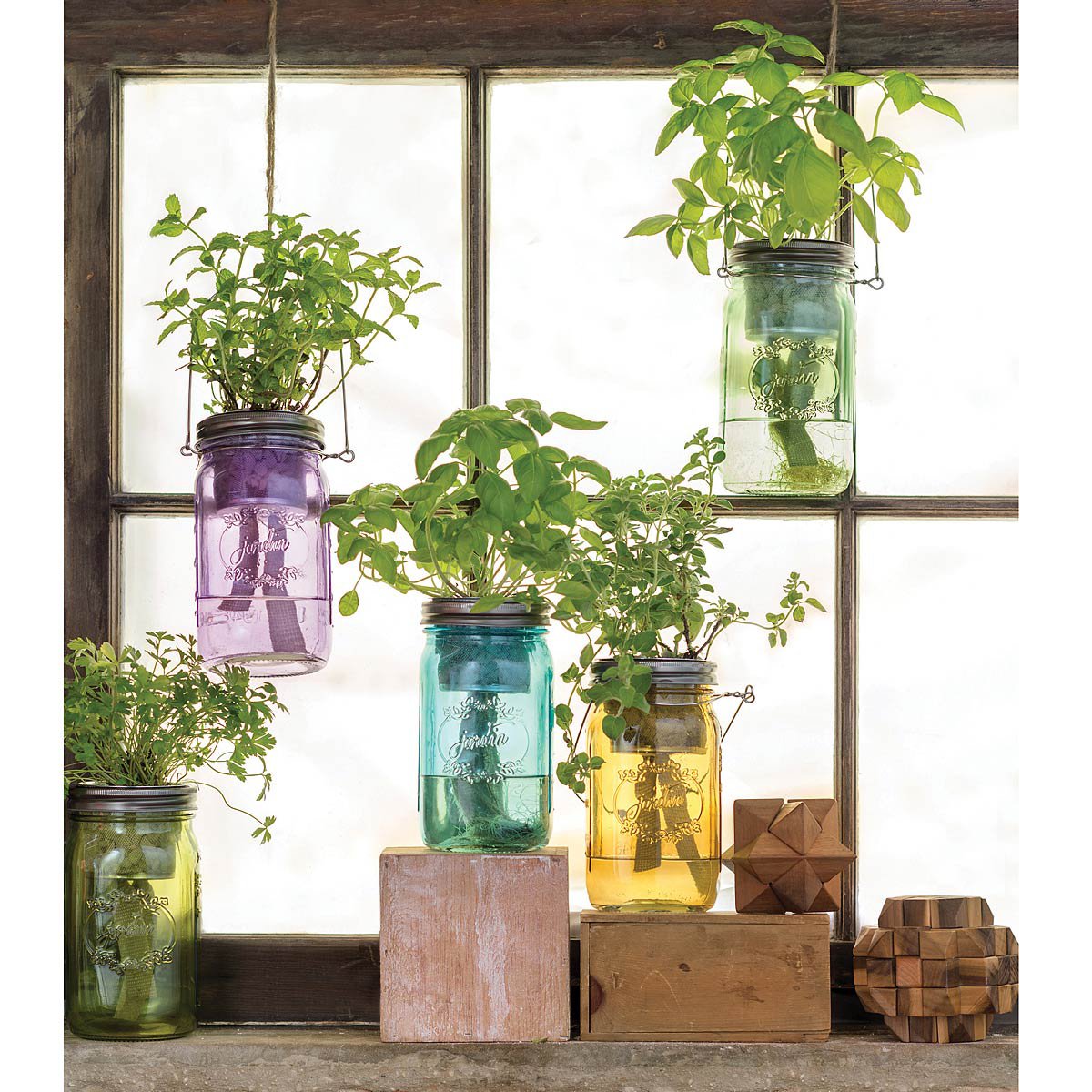 Mason jar herb garden