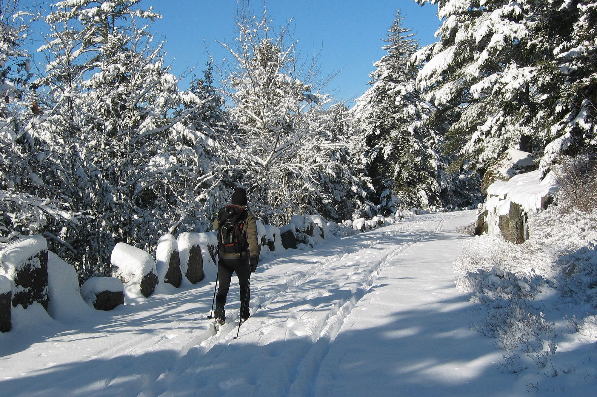 woman cross-country skiing in Acadia National Park