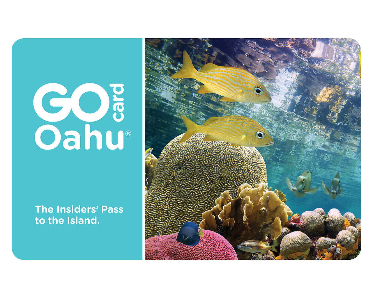 4-Day Go Oahu eCard