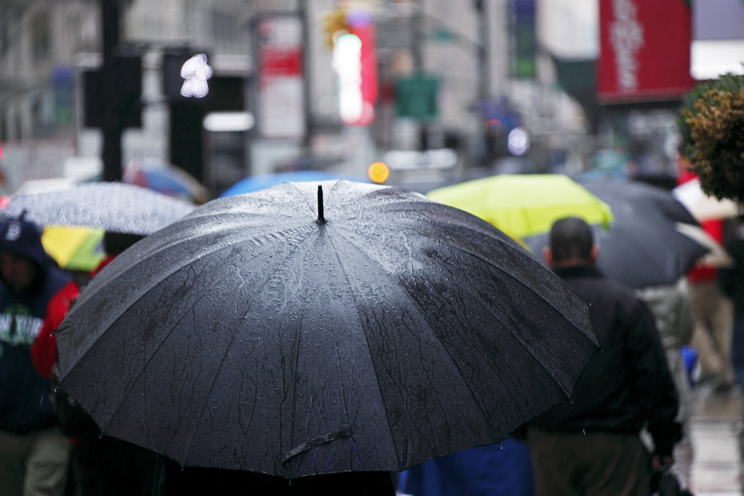 umbrellas in wet, wintry New York City