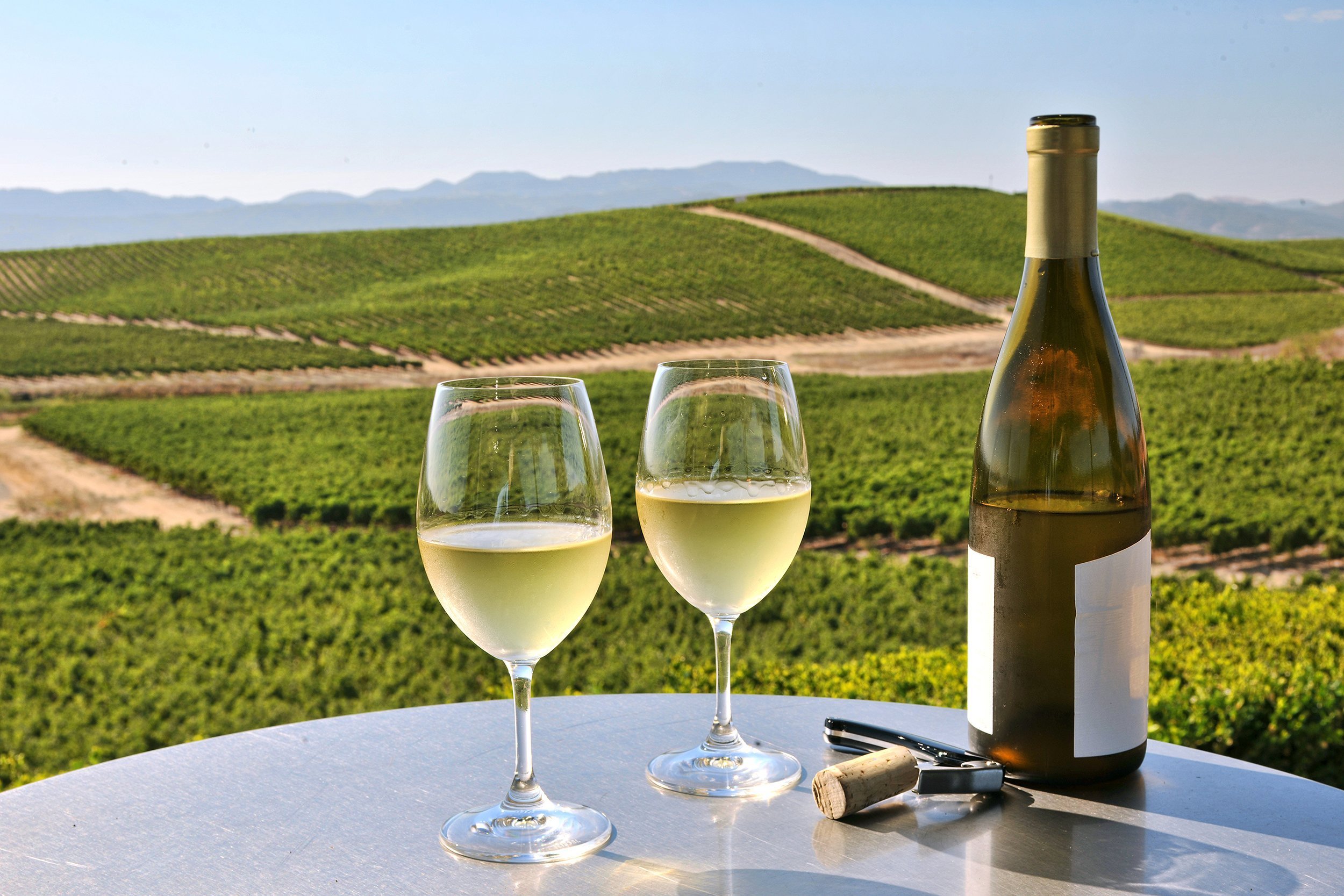 two glasses of white wine overlooking Napa Valley, California