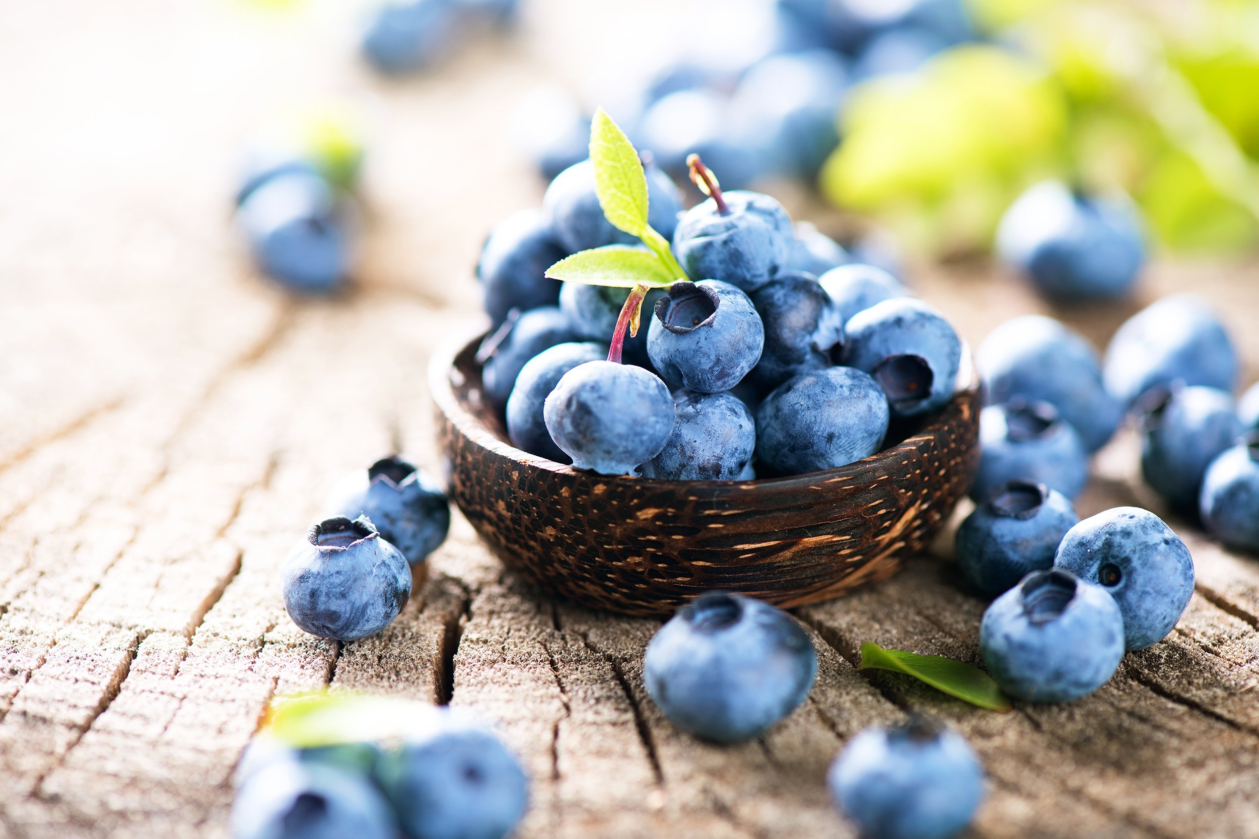freshly picked blueberries in wooden bowl