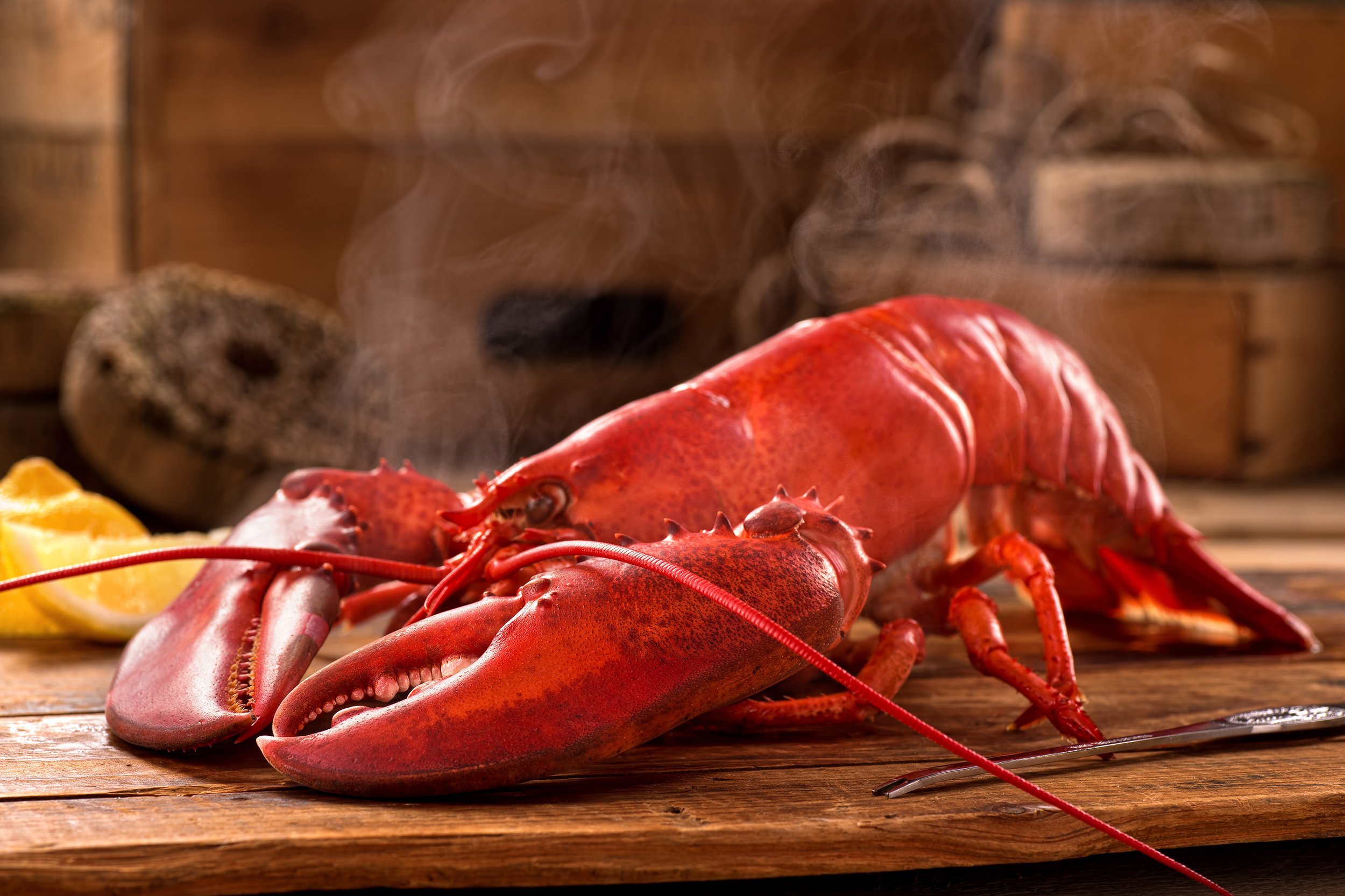 Maine Lobster