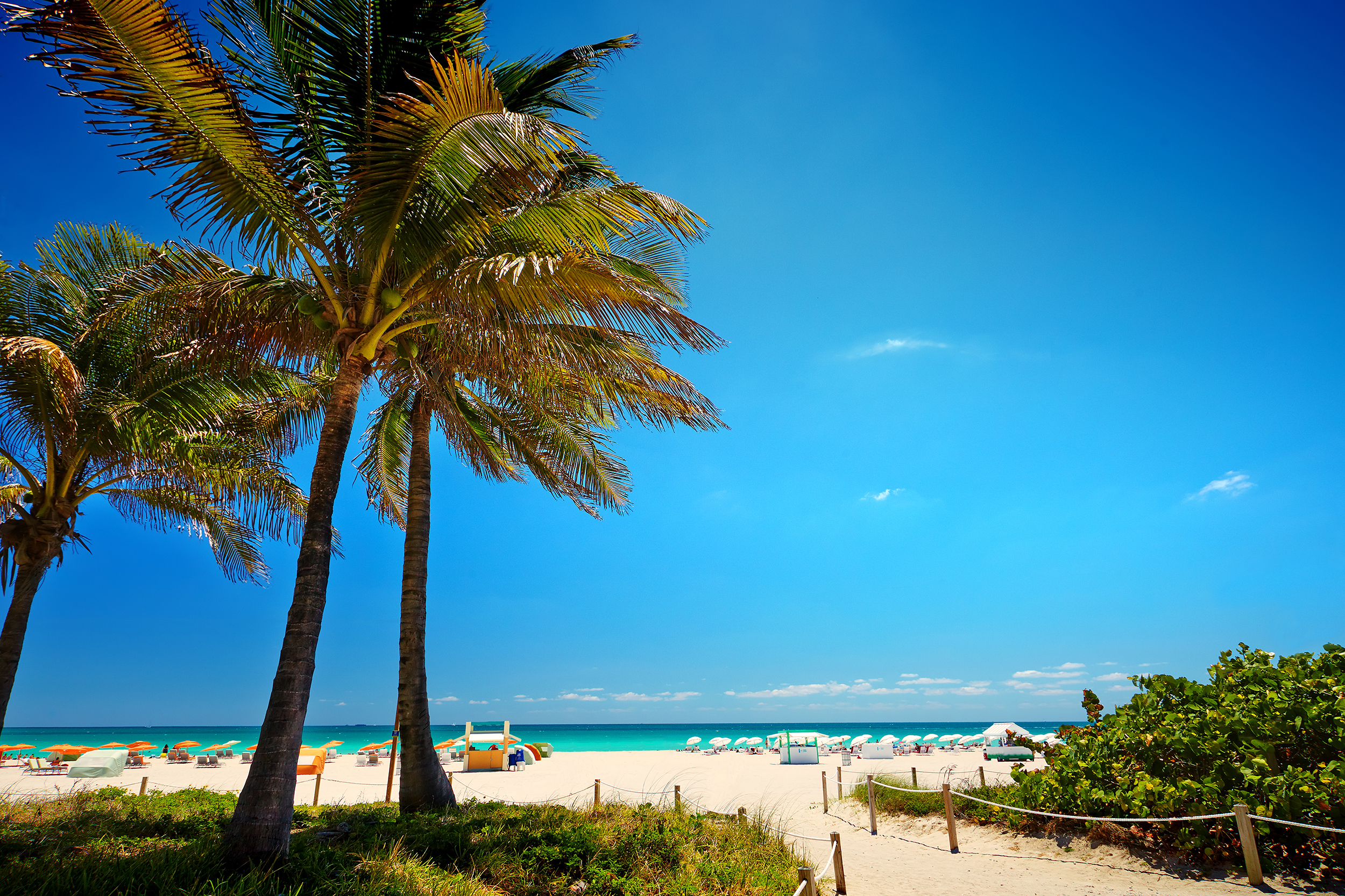 Beach of Miami Beach, Florida, people chilling with umbrellas, a few palm trees in the foreground, on a sunny day, expansive sky