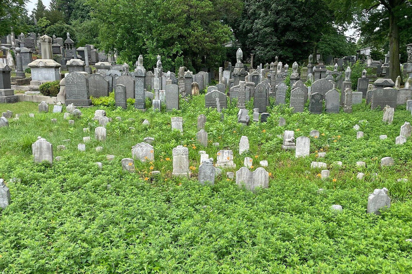 Machpelah Cemetery, Queens, New York