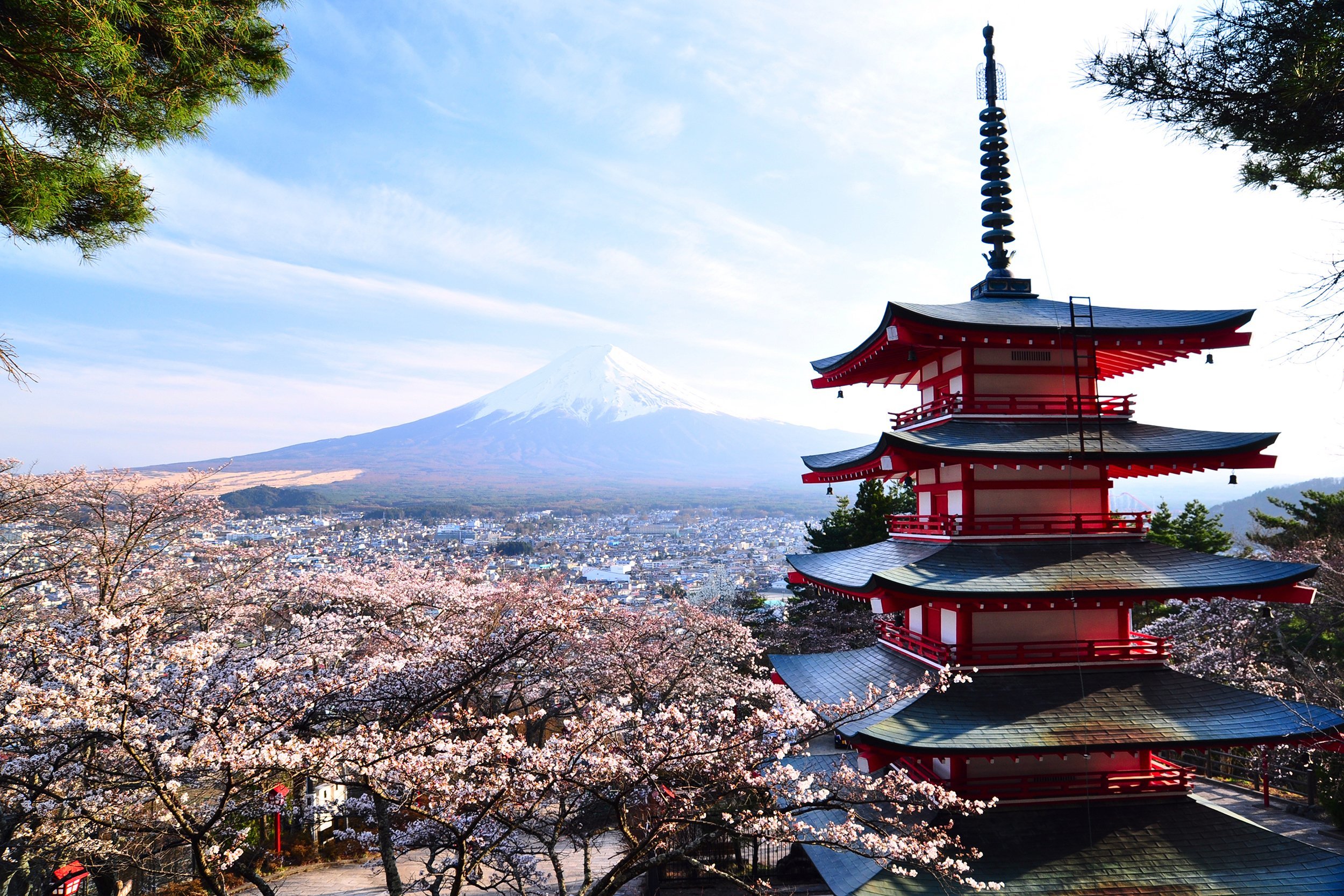 Cherry Blossoms at Mount Fuji and Lake Kawaguchi, Japan