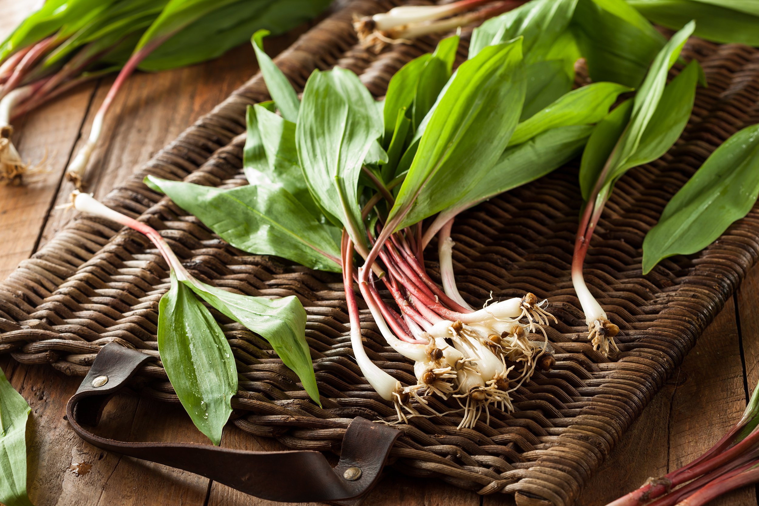 Ramps