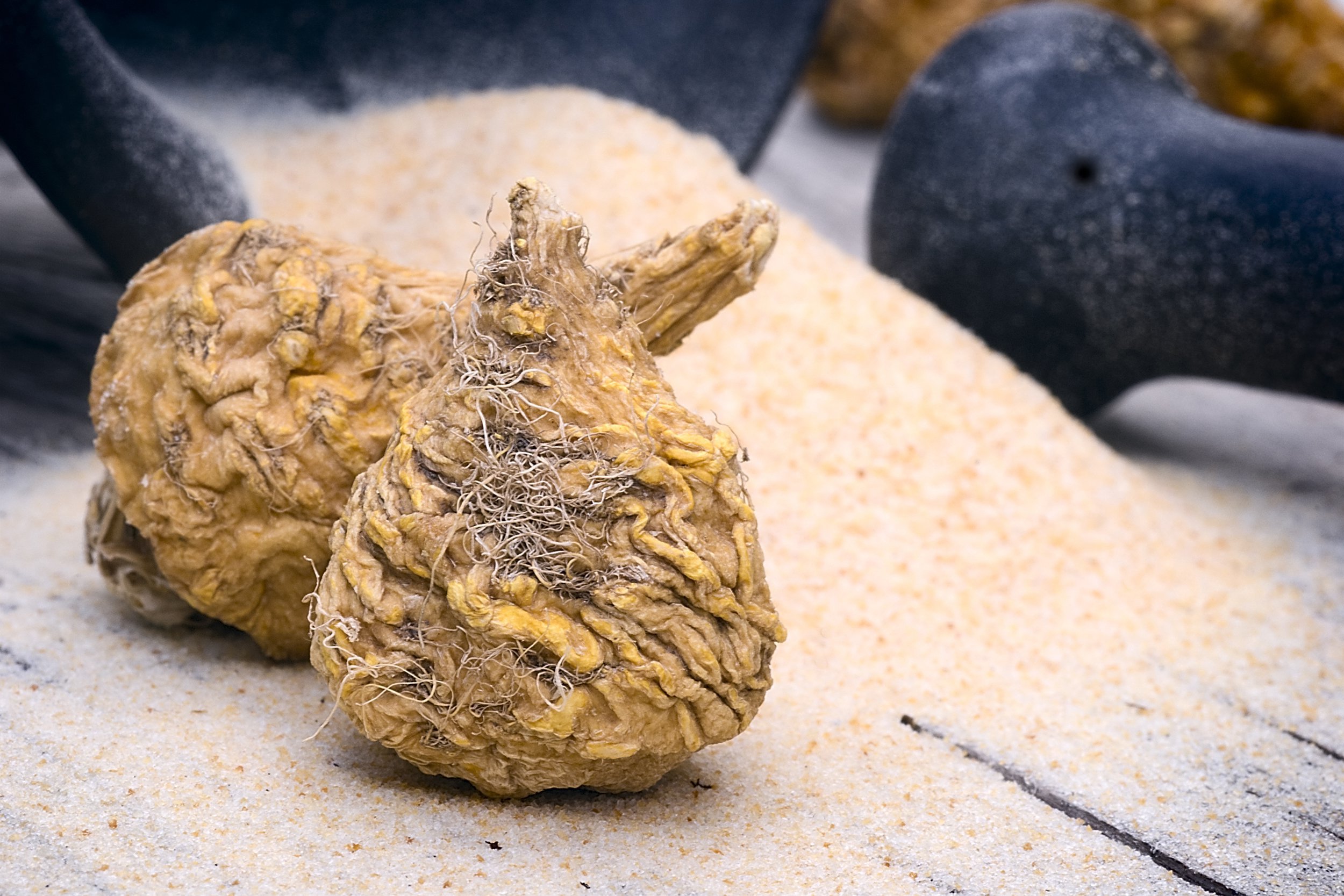 Maca