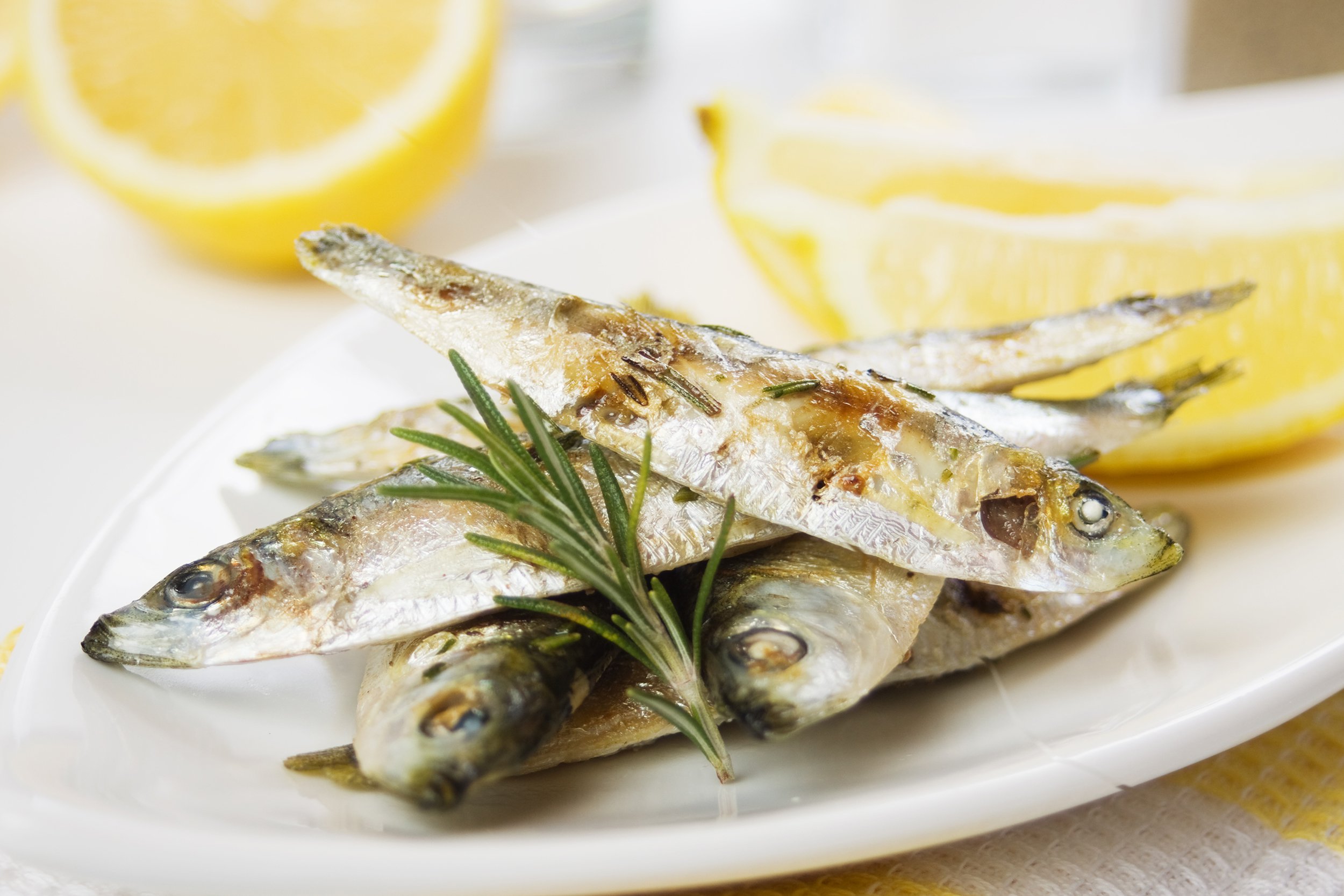 Sardines