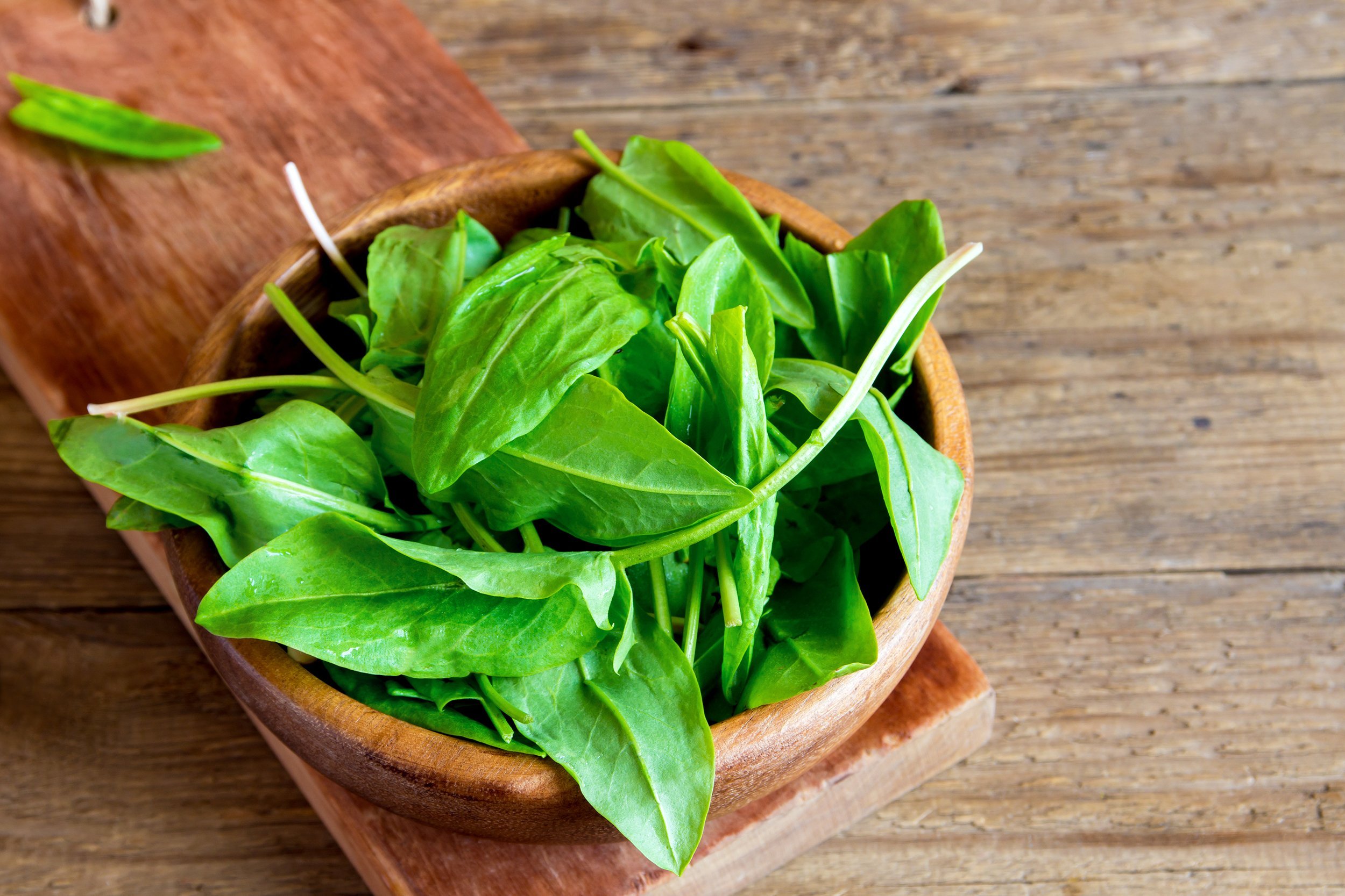 fresh organic sorrel leaves in wooden bowl
