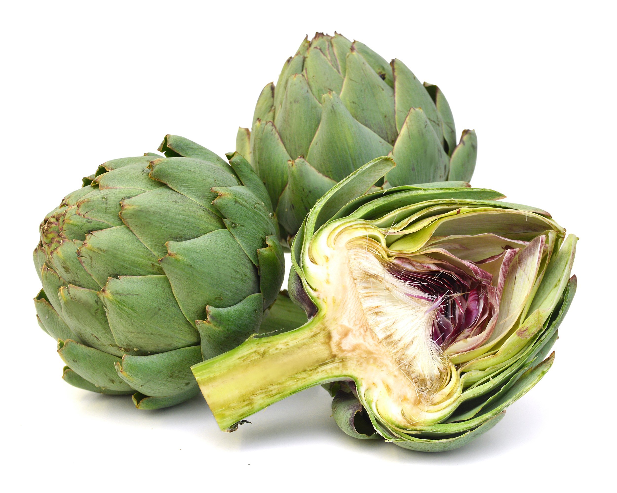 two fresh artichokes with stem and leaf and a half showing the heart