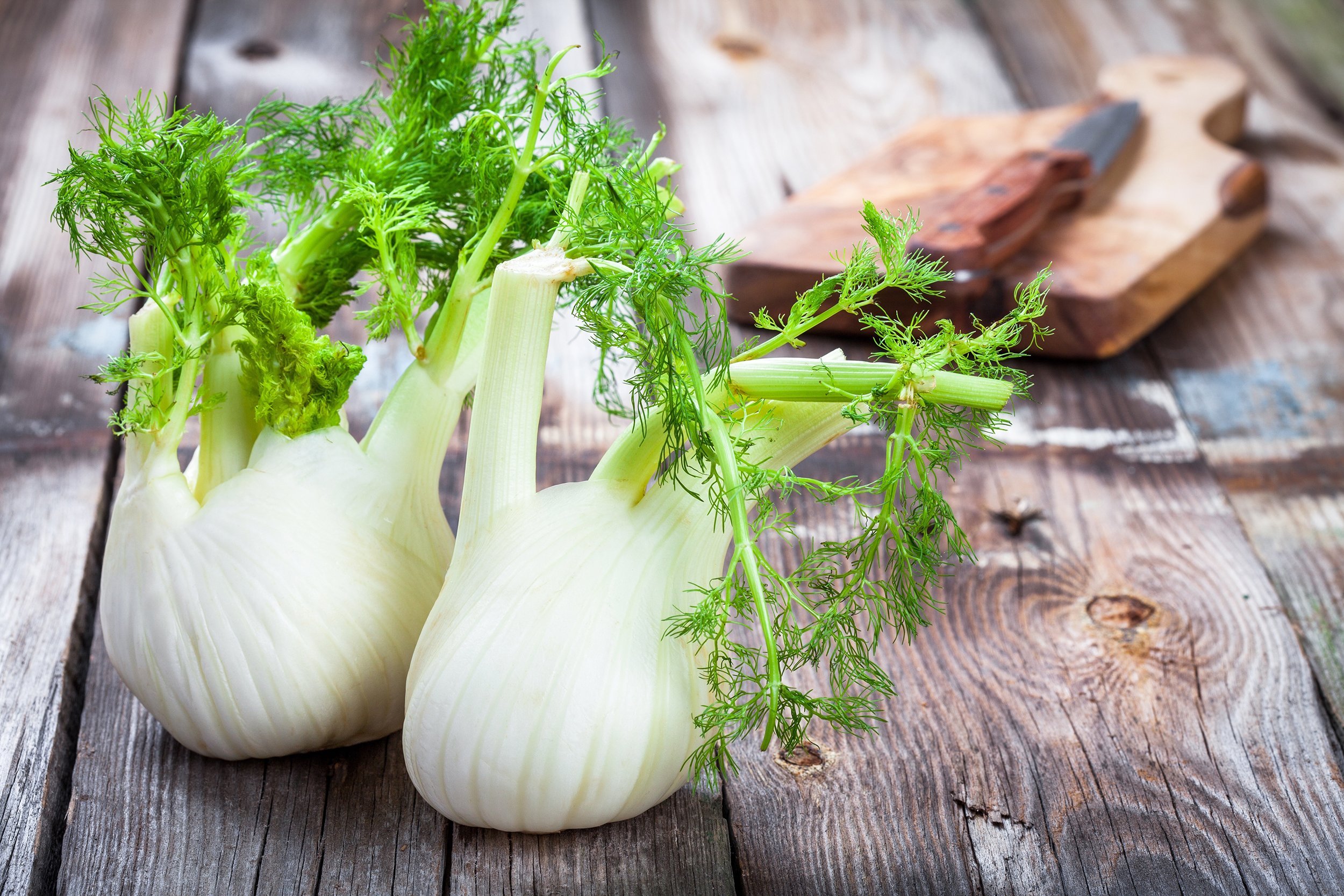fennel on wooden dark table