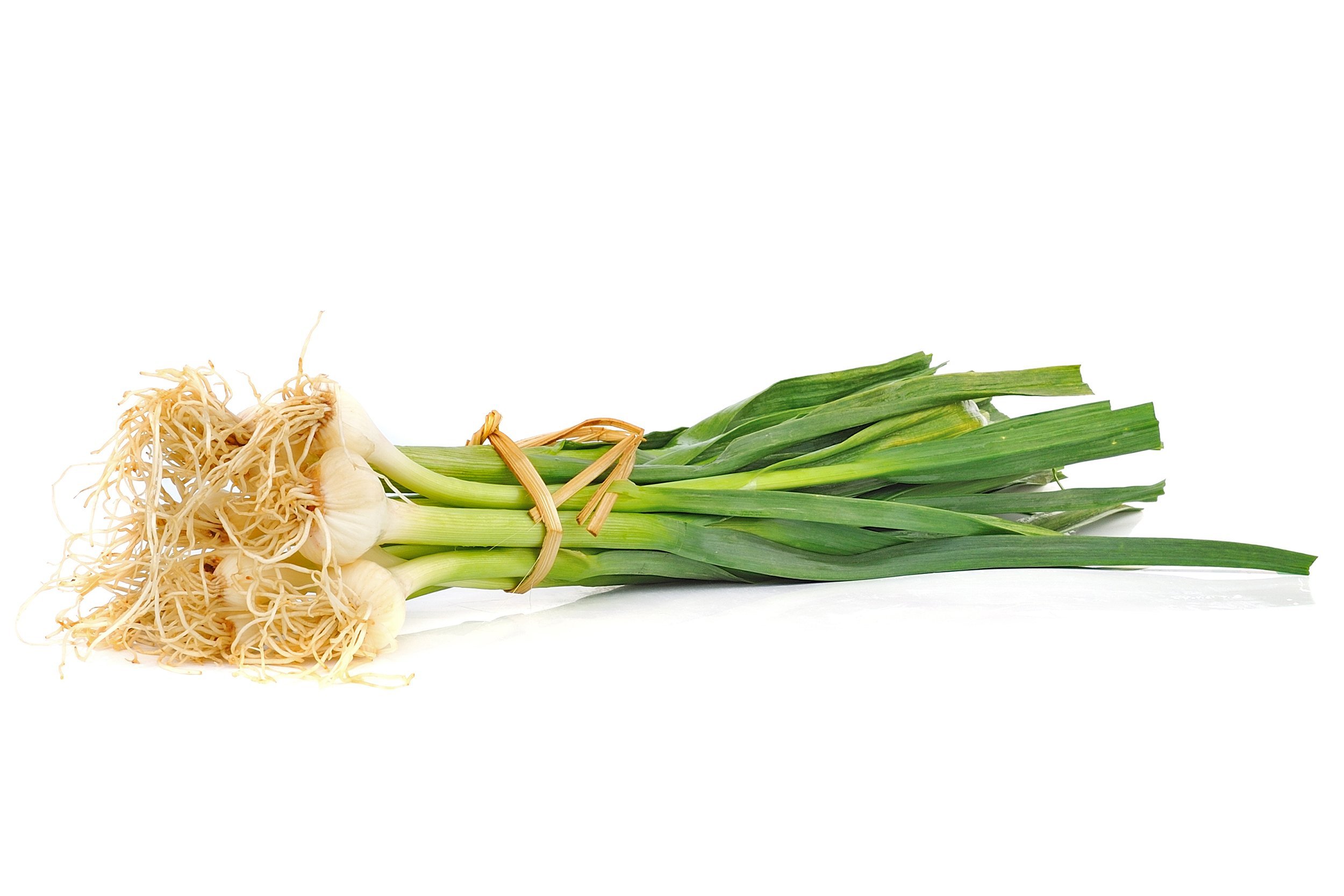 Green Garlic