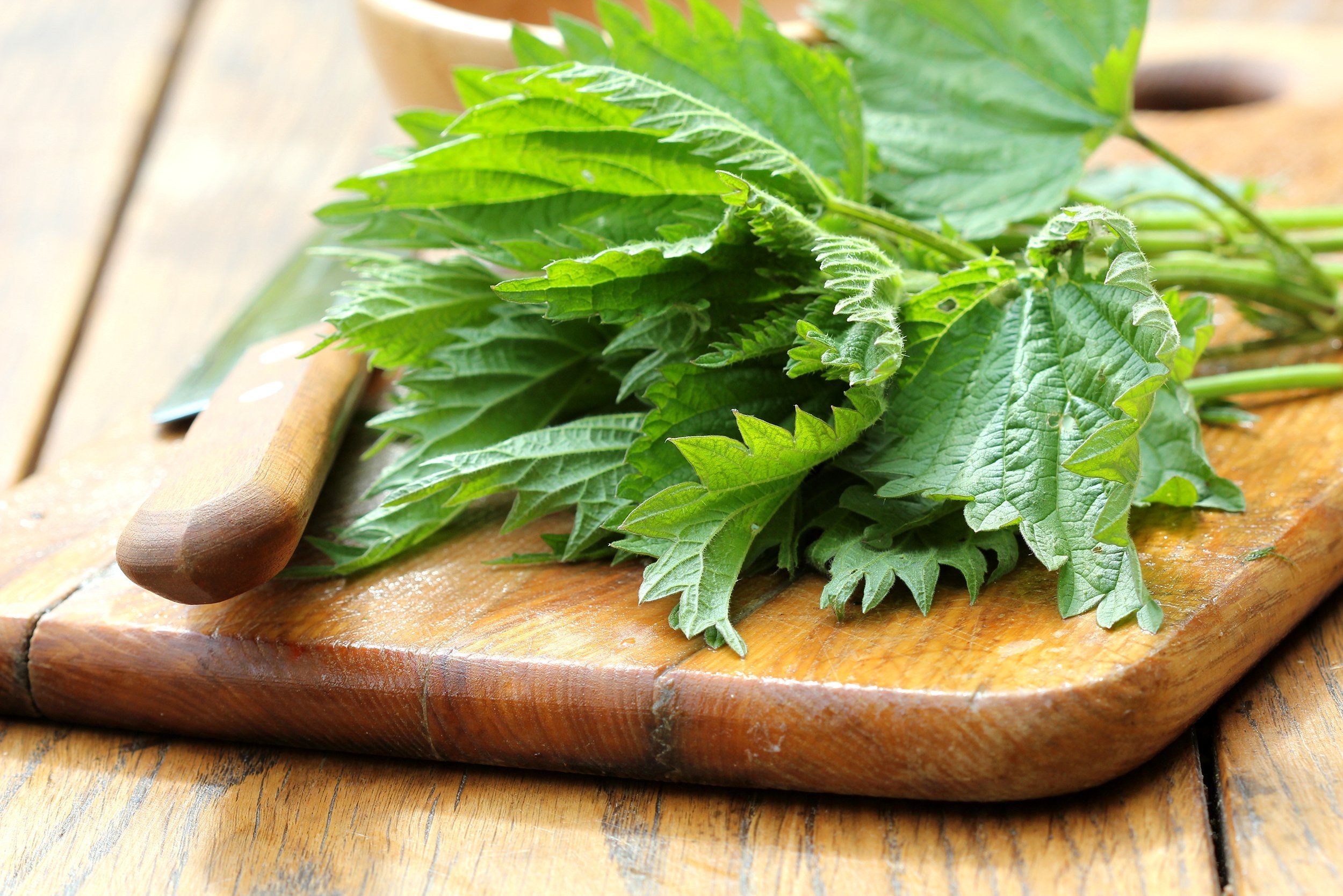 stinging nettle on a cutting board