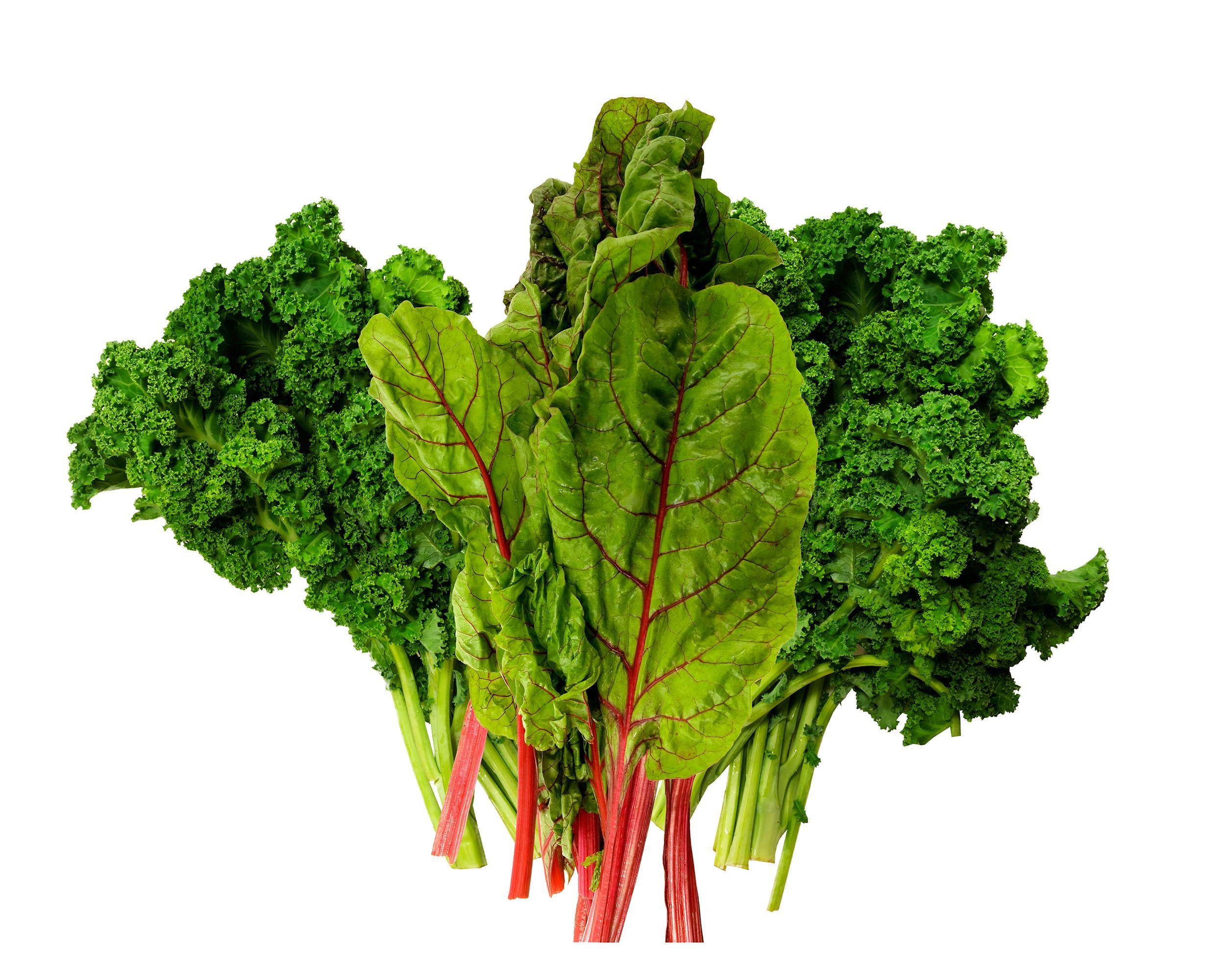 fresh kale and swiss chard