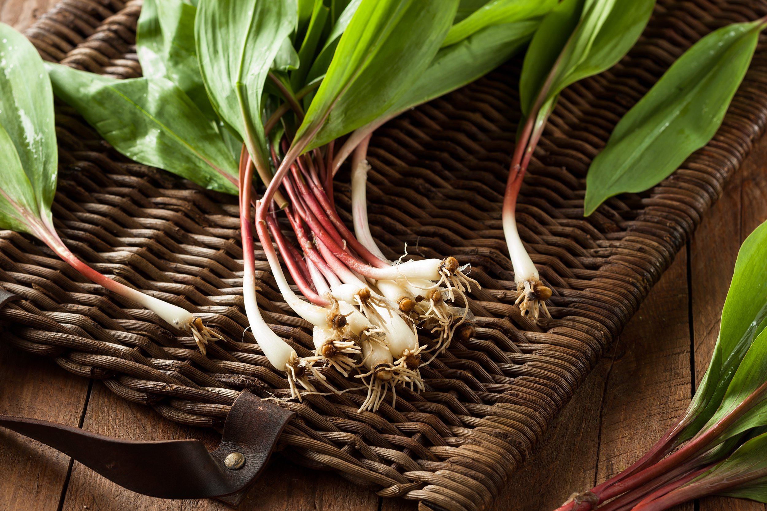 green ramps on wicker board