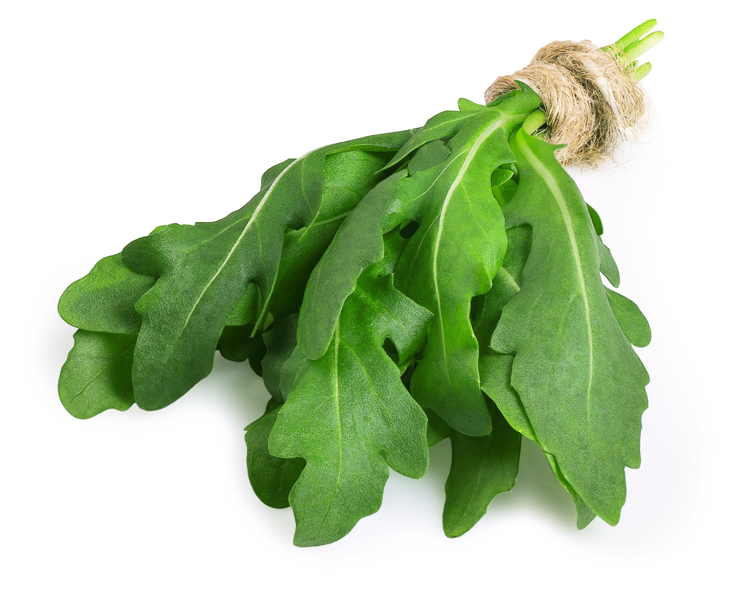 bunch of arugula or rocket leaves tied with twine
