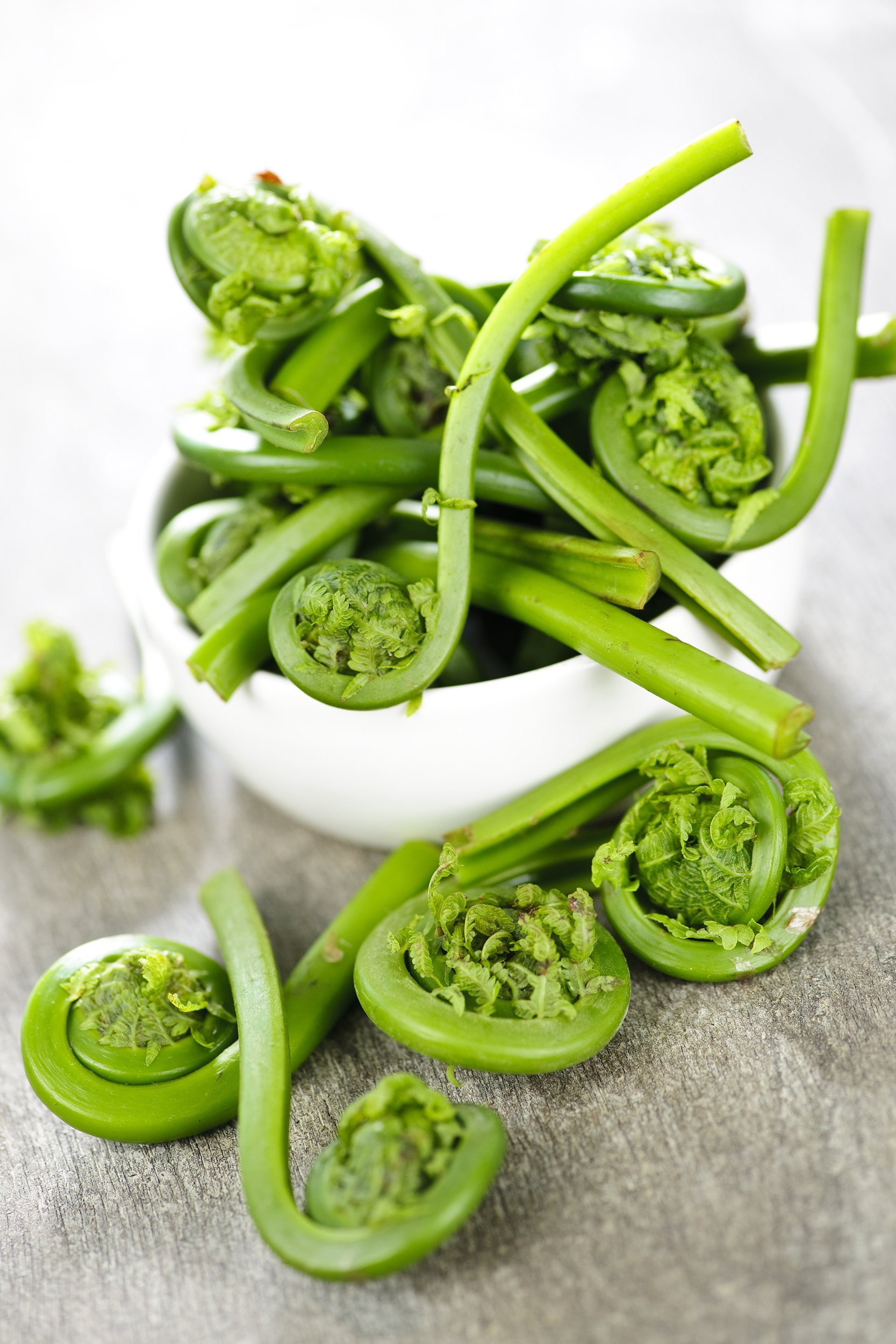 fresh spring wild fiddleheads in a bowl