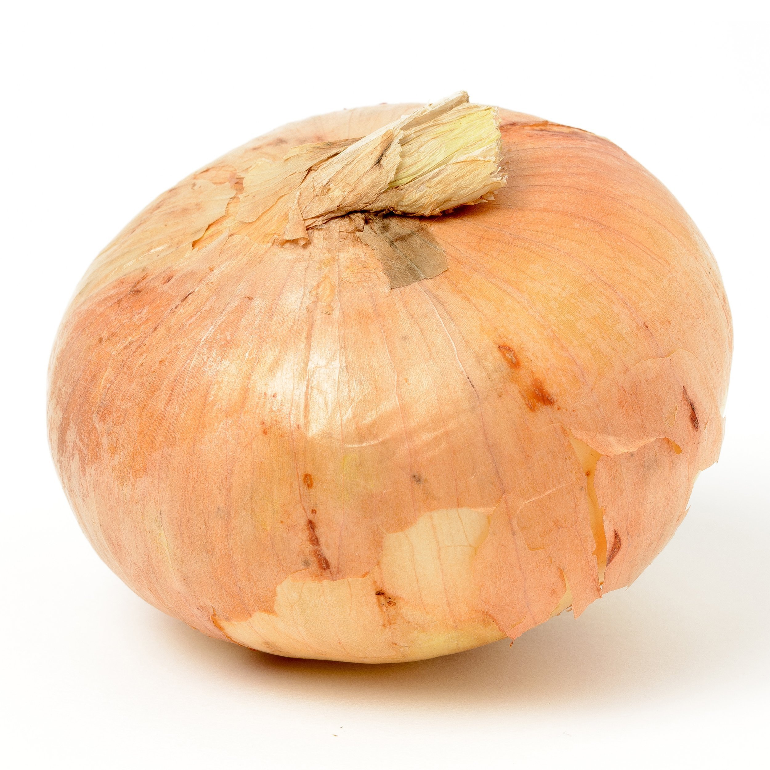 single vidalia onion