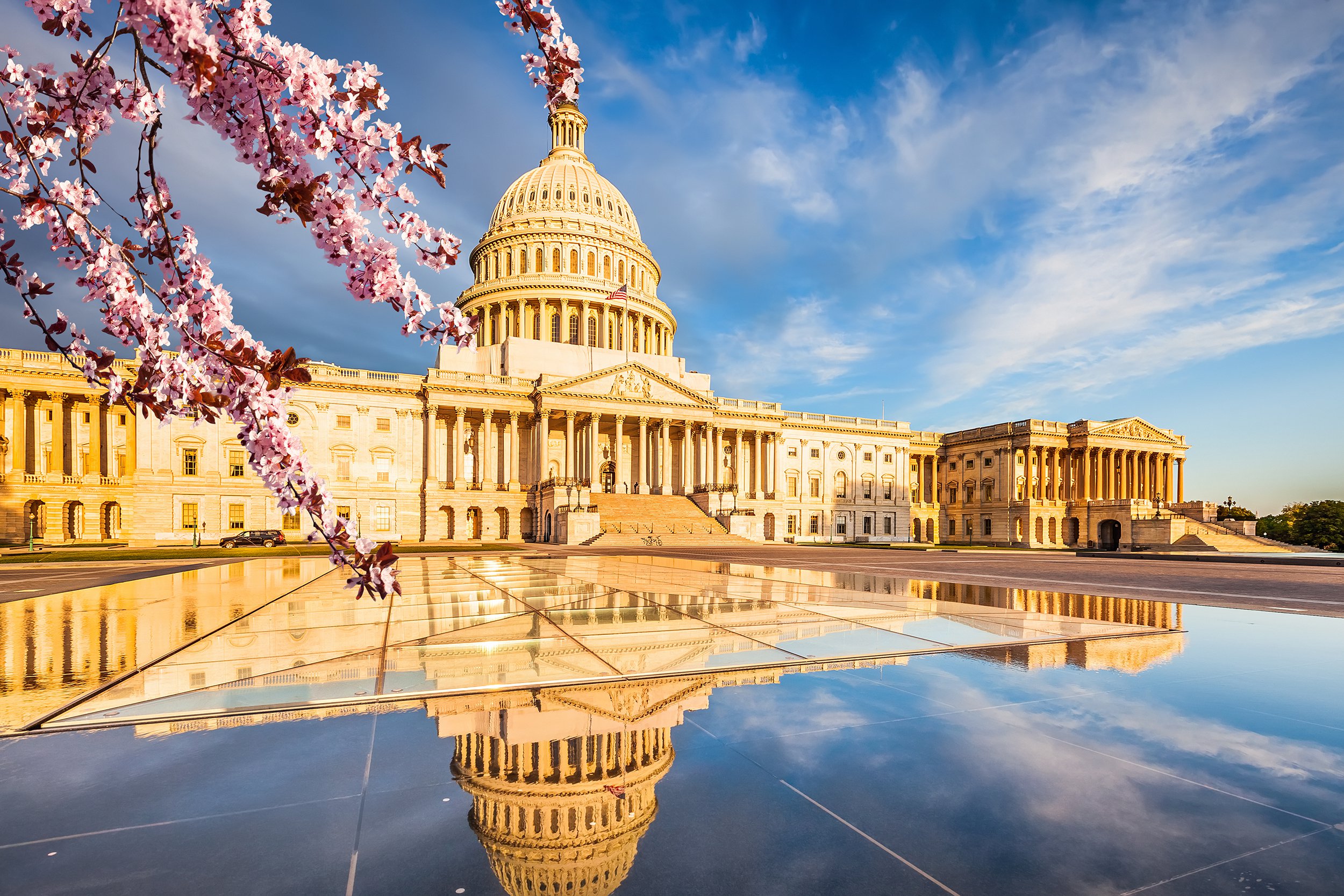 U.S. Capitol in Washington, D.C.