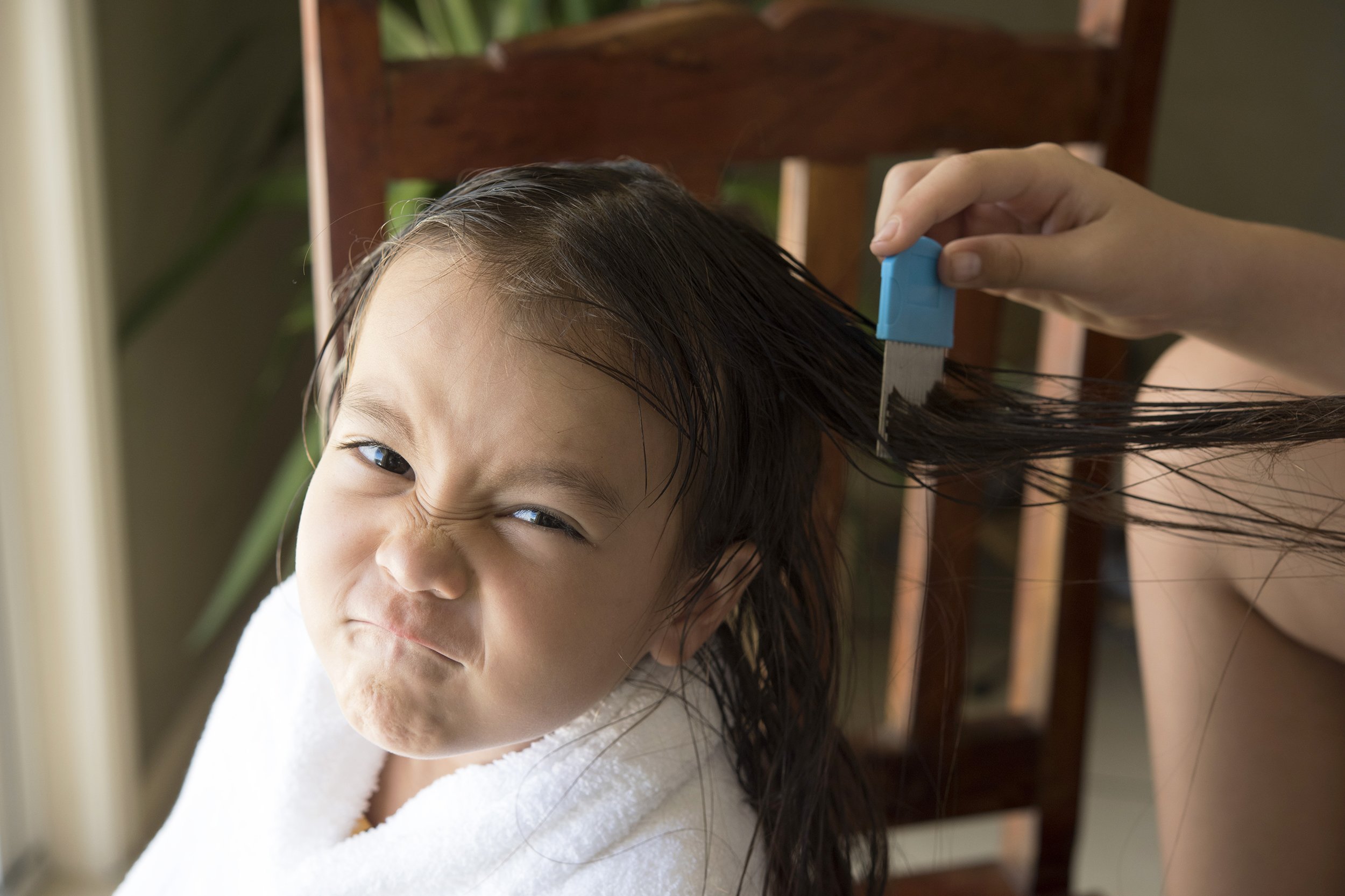Upset girl getting treatment on her head from lice