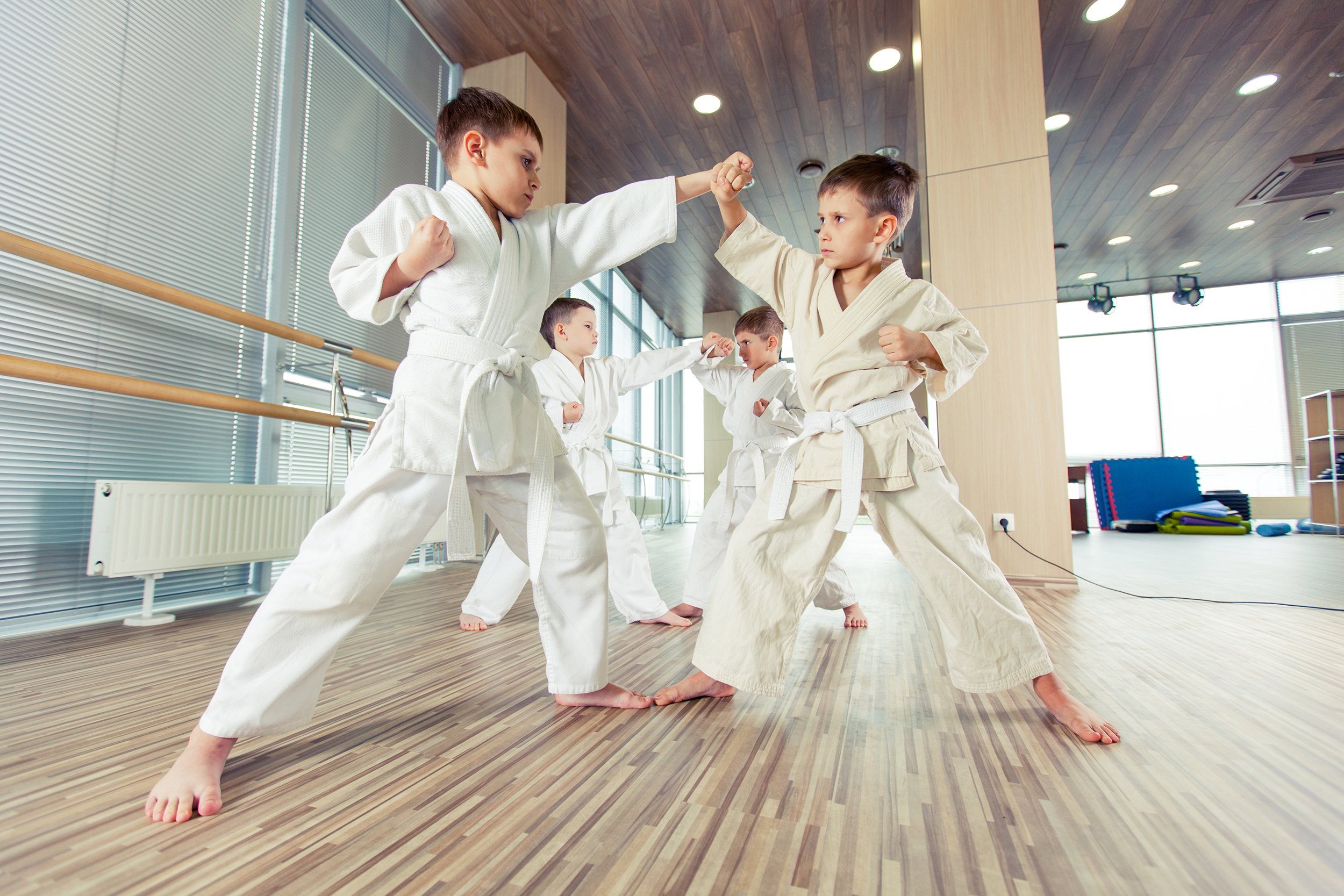 boys in class doing karate