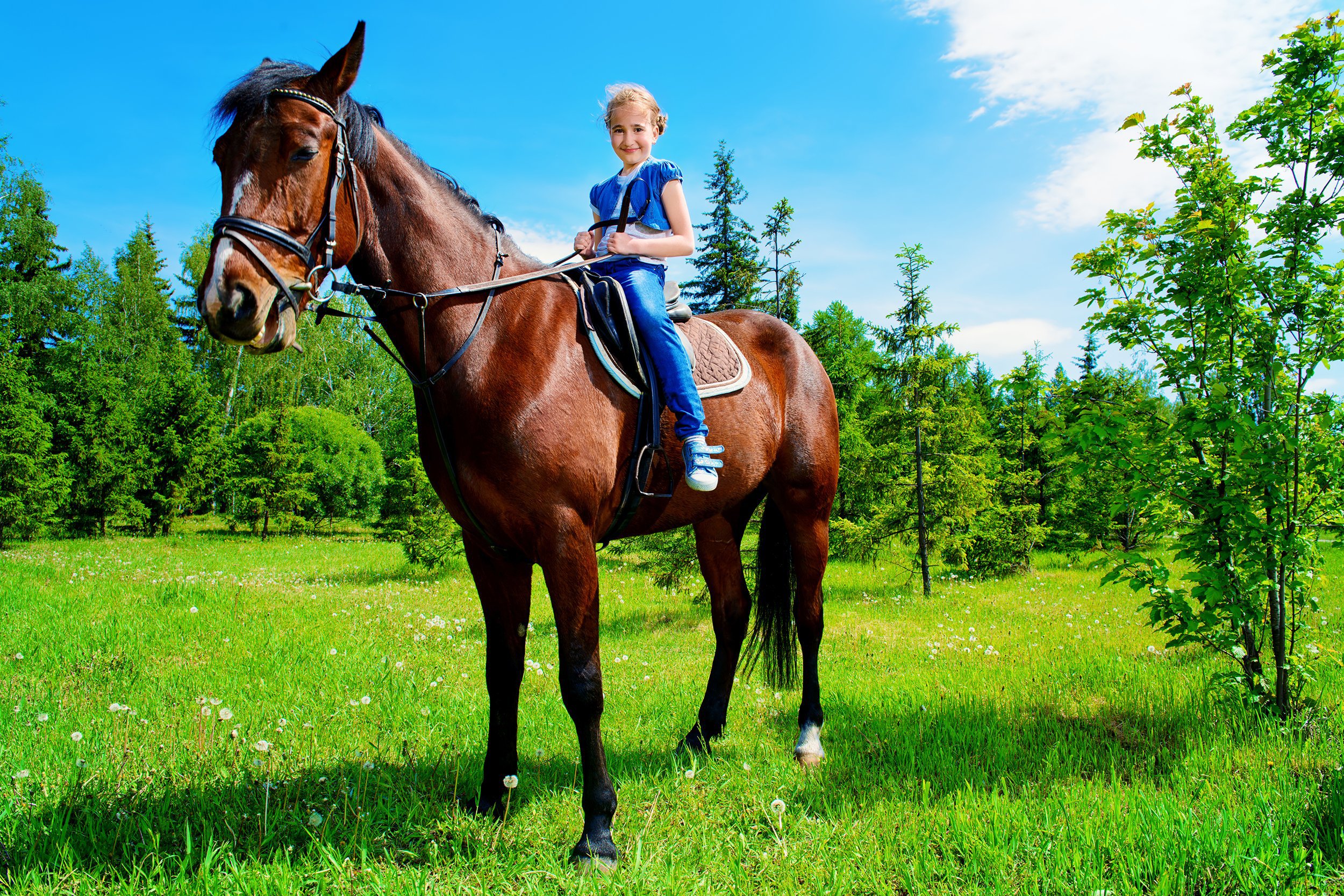 girl horse back riding outside