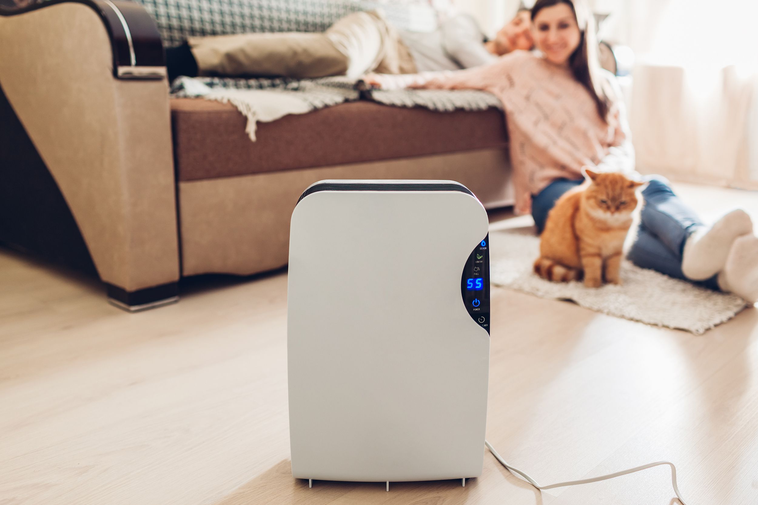 woman and her cat sitting on the floor of living room with dehumidifier