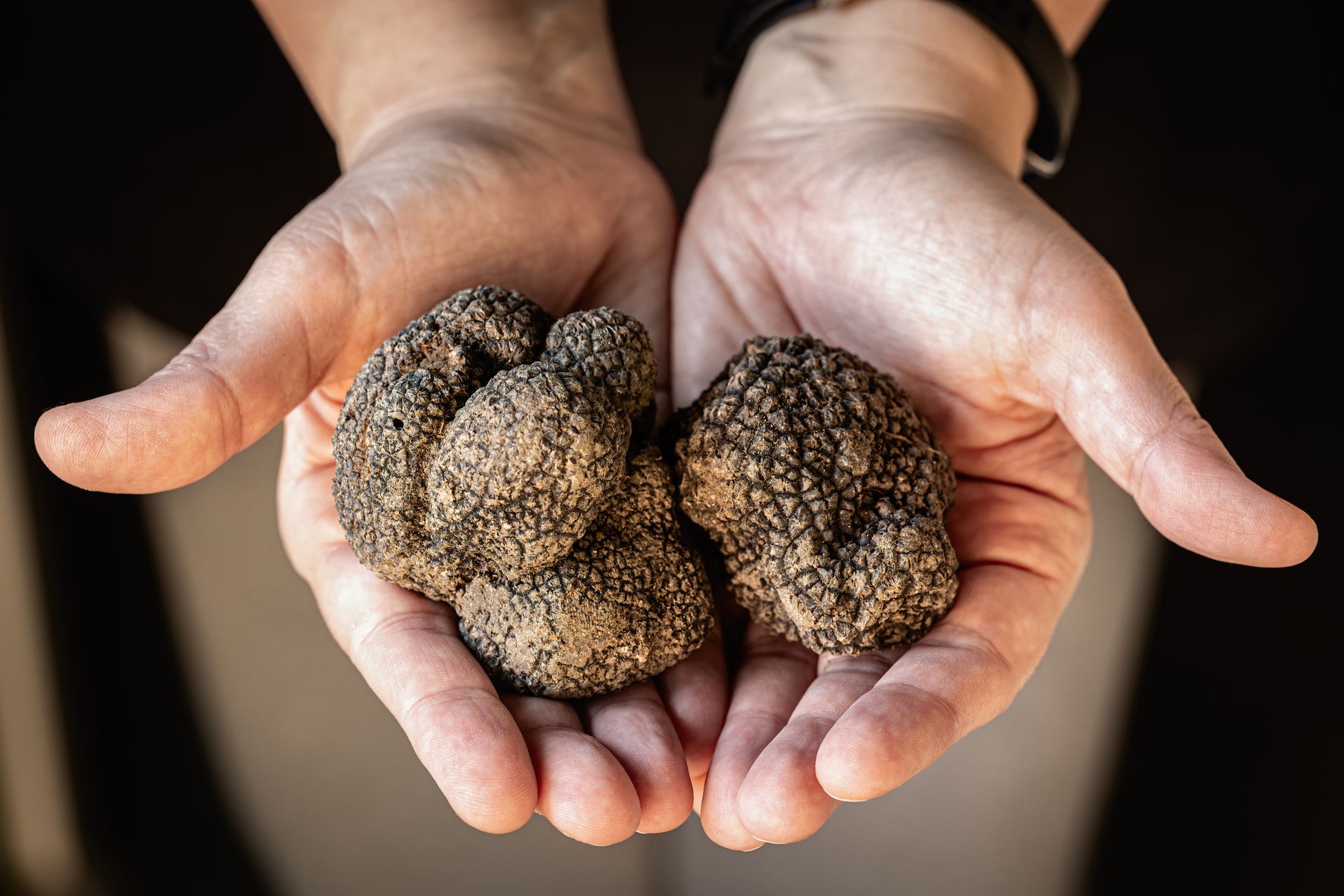 hand holding truffles