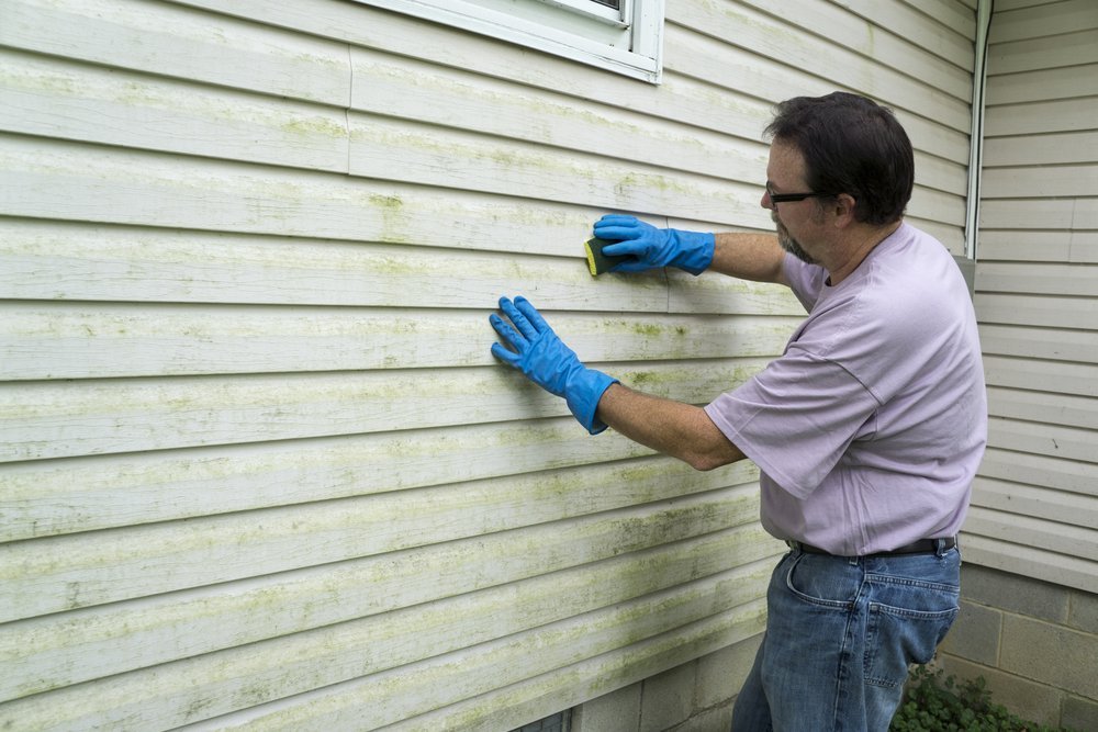 contractor cleaning algae and mold from vinyl siding of a customers home.