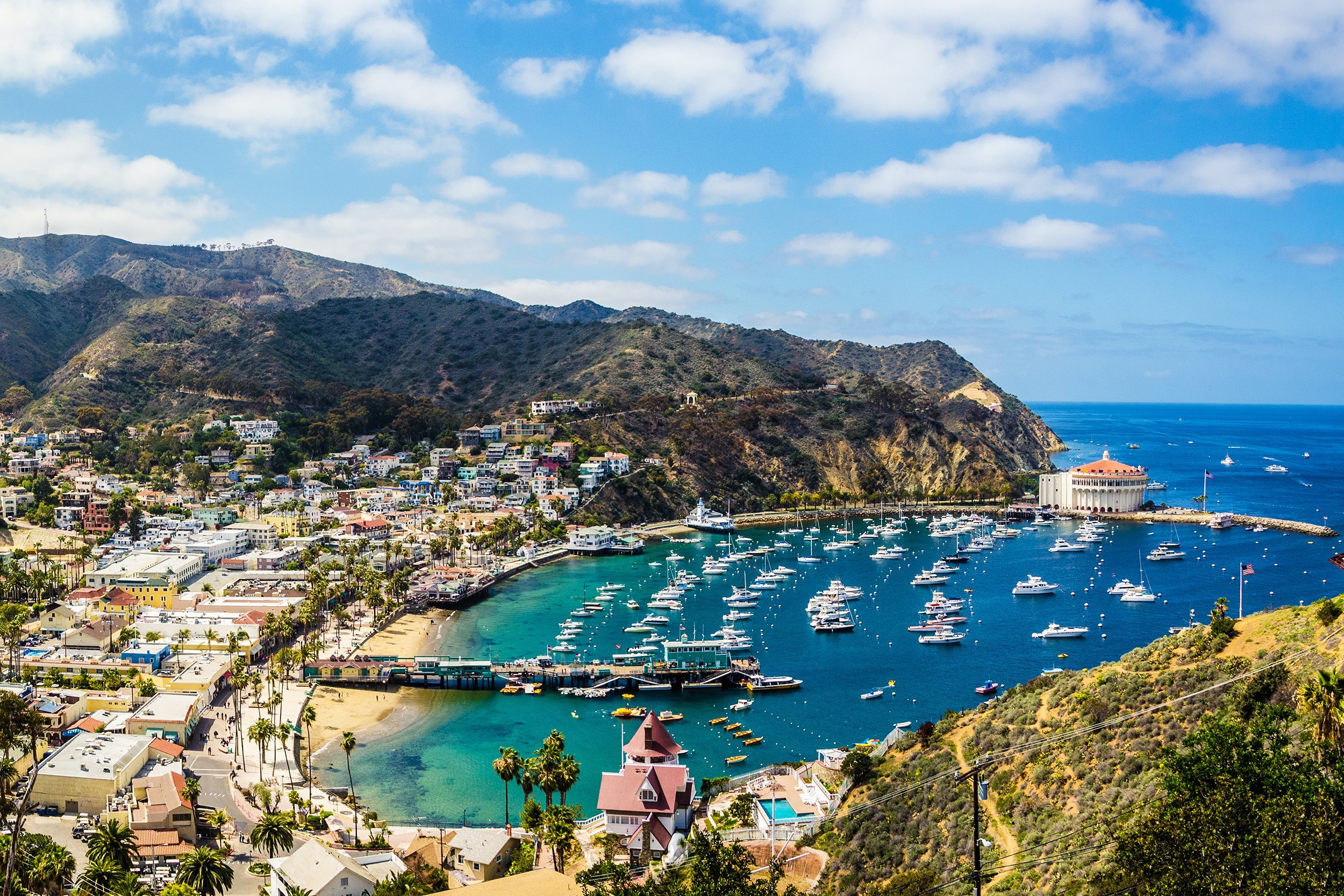 Catalina Island, California