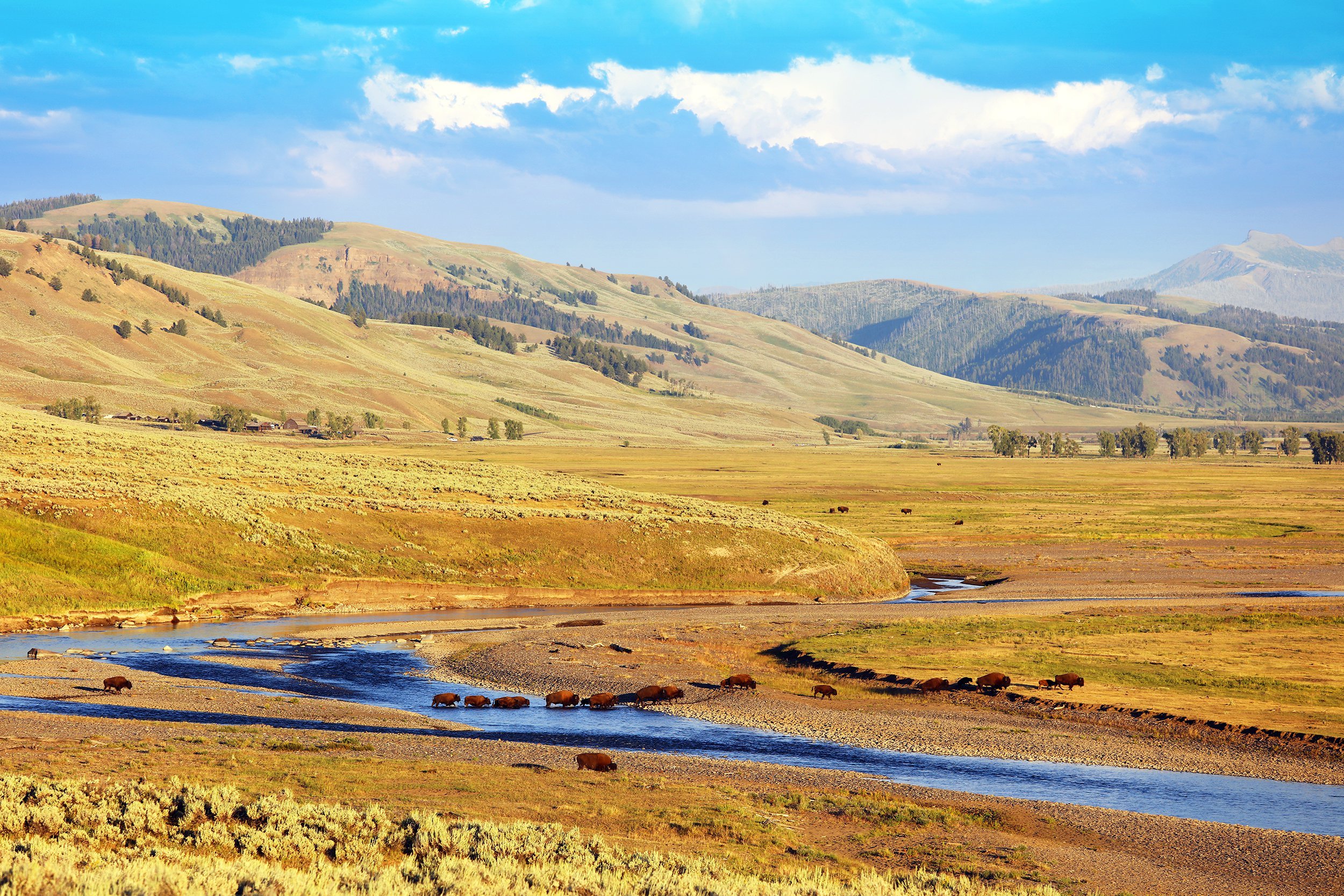 Yellowstone National Park in Wyoming