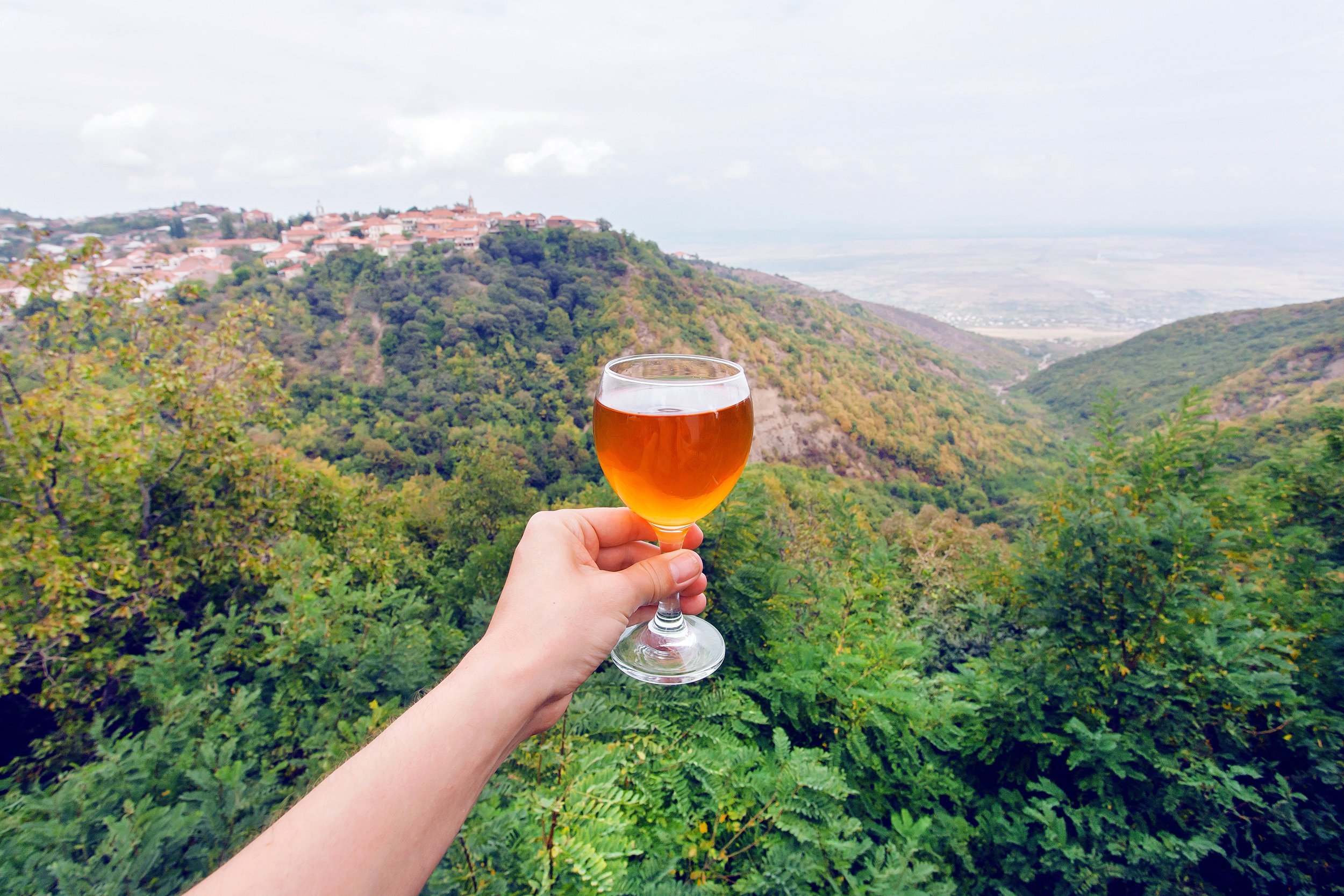 glass of wine in hand with natural landscape of green Alazani Valley, Georgia