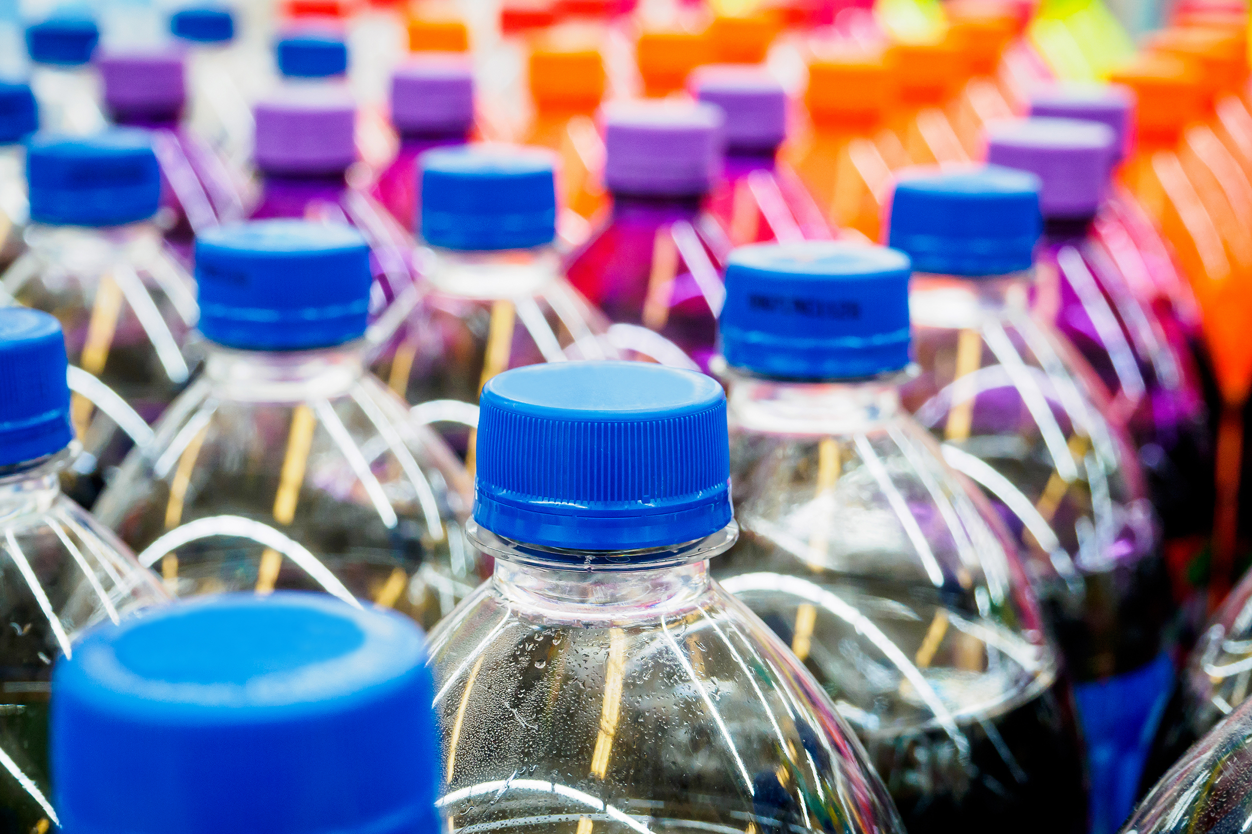 Rows of soda in plastic bottles