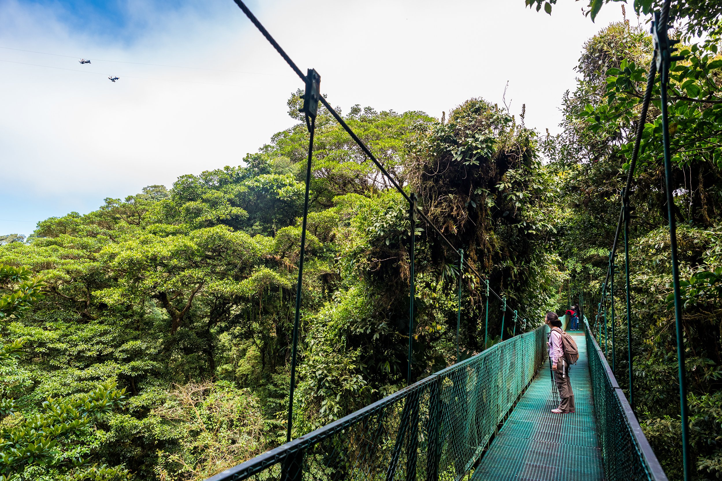 Monteverde Cloud Forest Reserve in Monteverde, Costa Rica