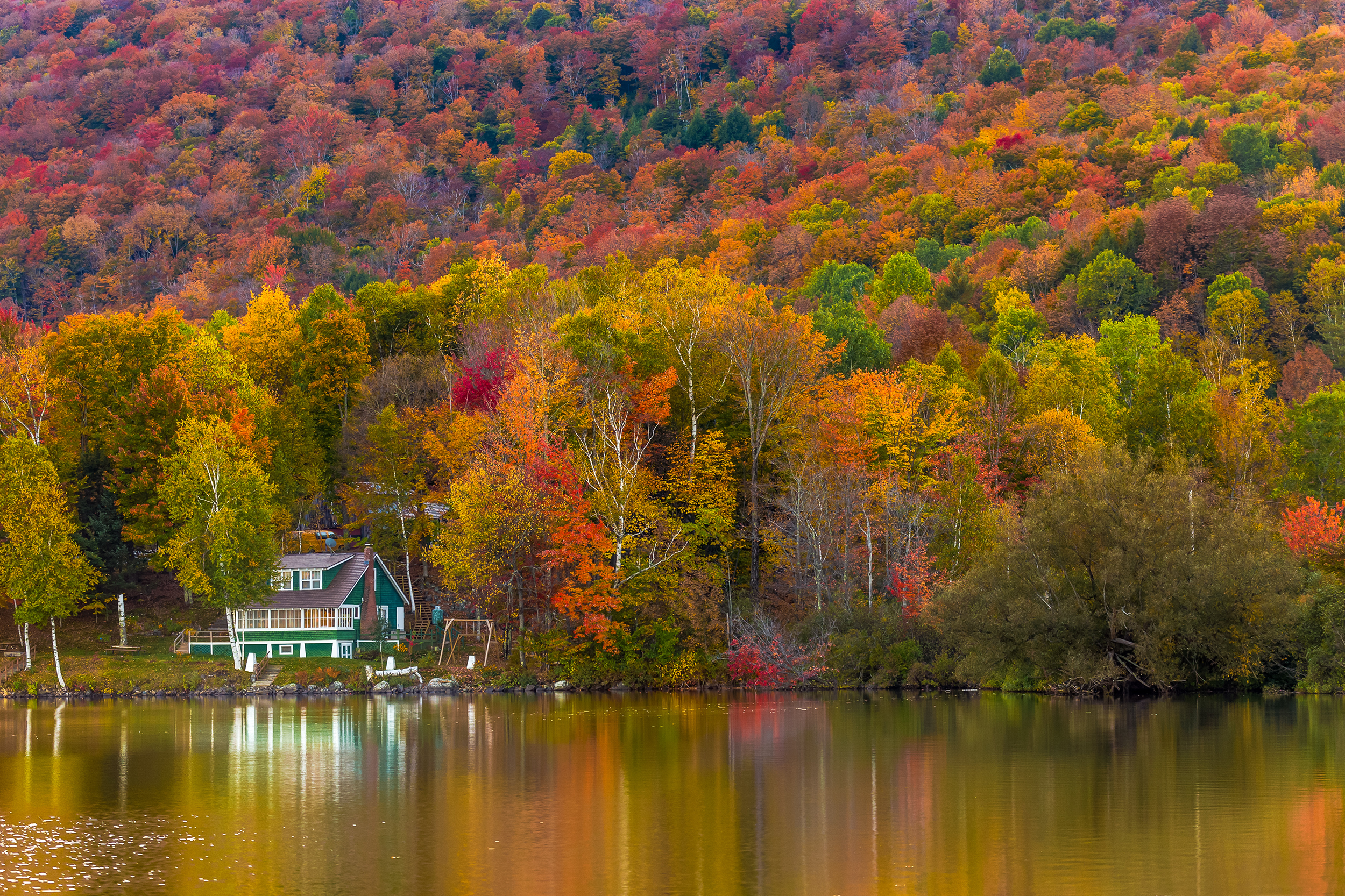 Cabin in the woods during the fall season with autumn trees
