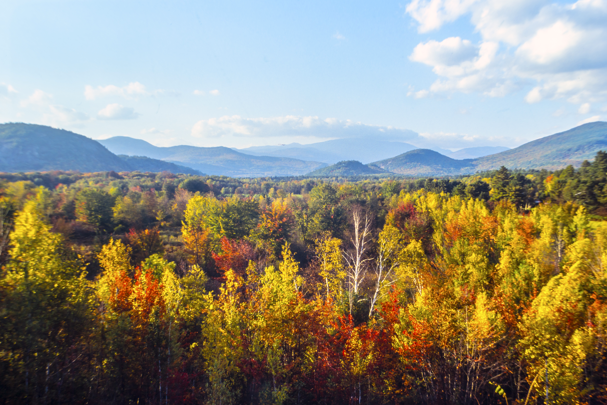Fall foliage with mountains in the background