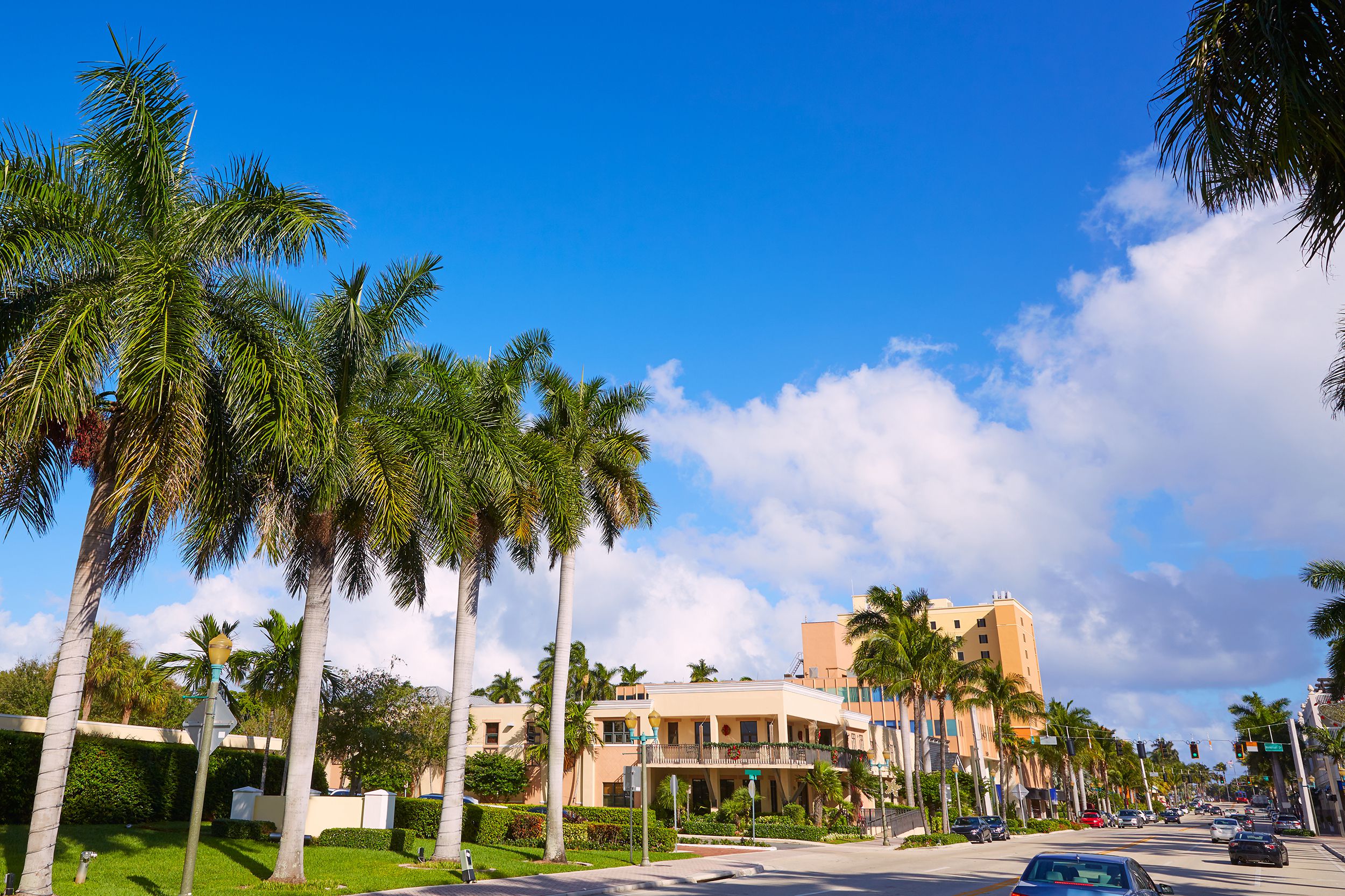 Palms lining a street in Delray Beach, Florida