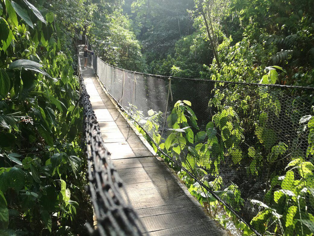 Rainmaker Park, Puntarenas Province, Costa Rica