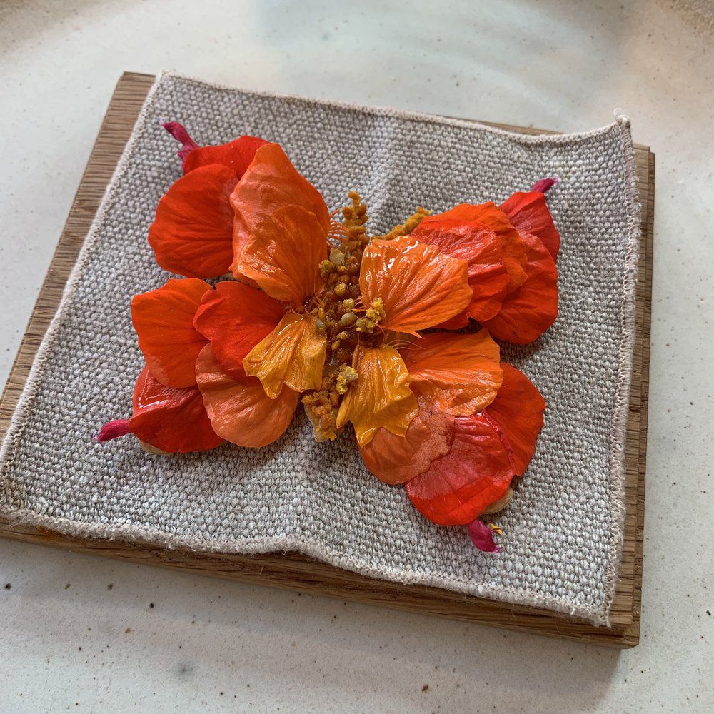 Tasting Menu, Noma, Copenhagen, Denmark